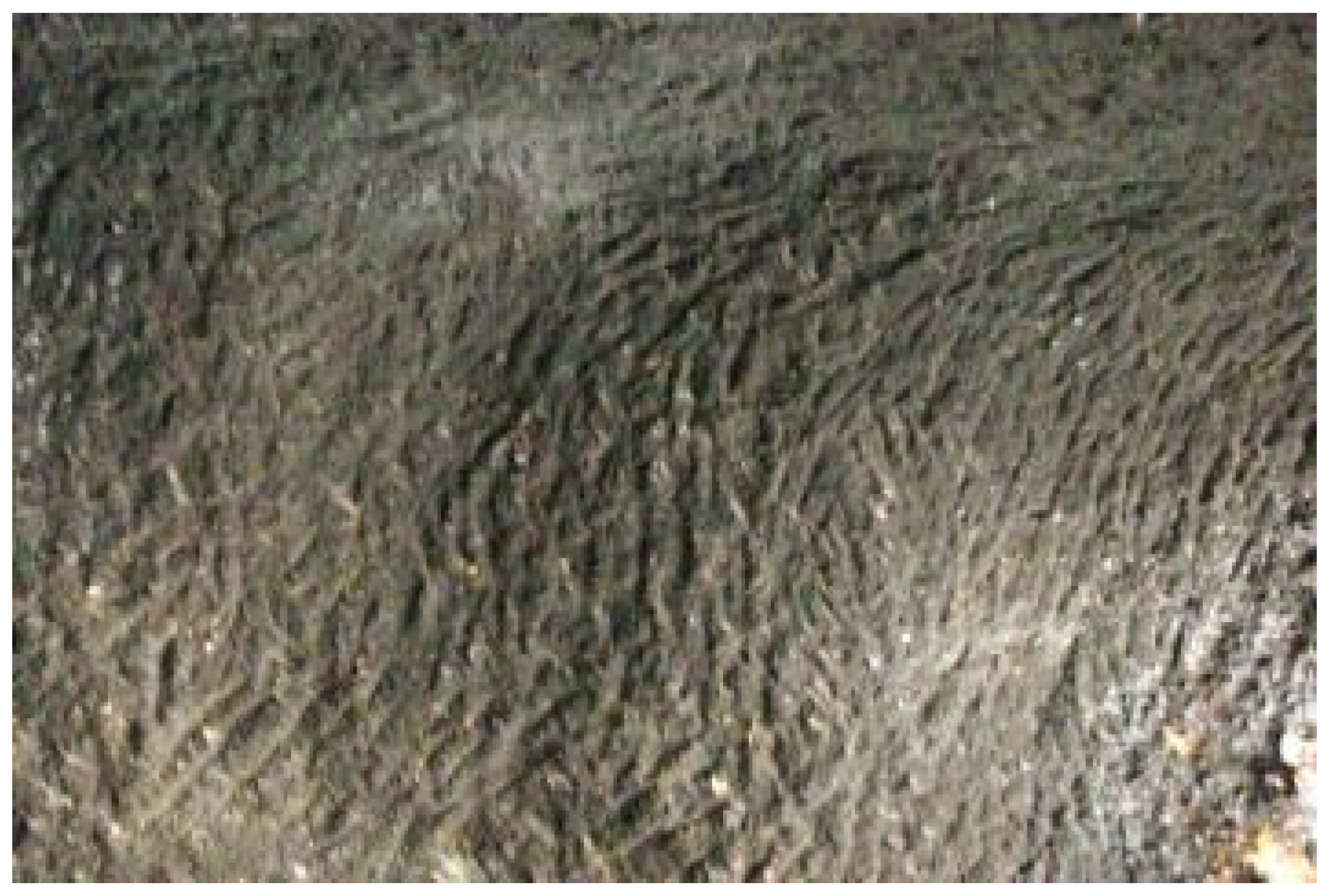 Designs 06 00064 g014