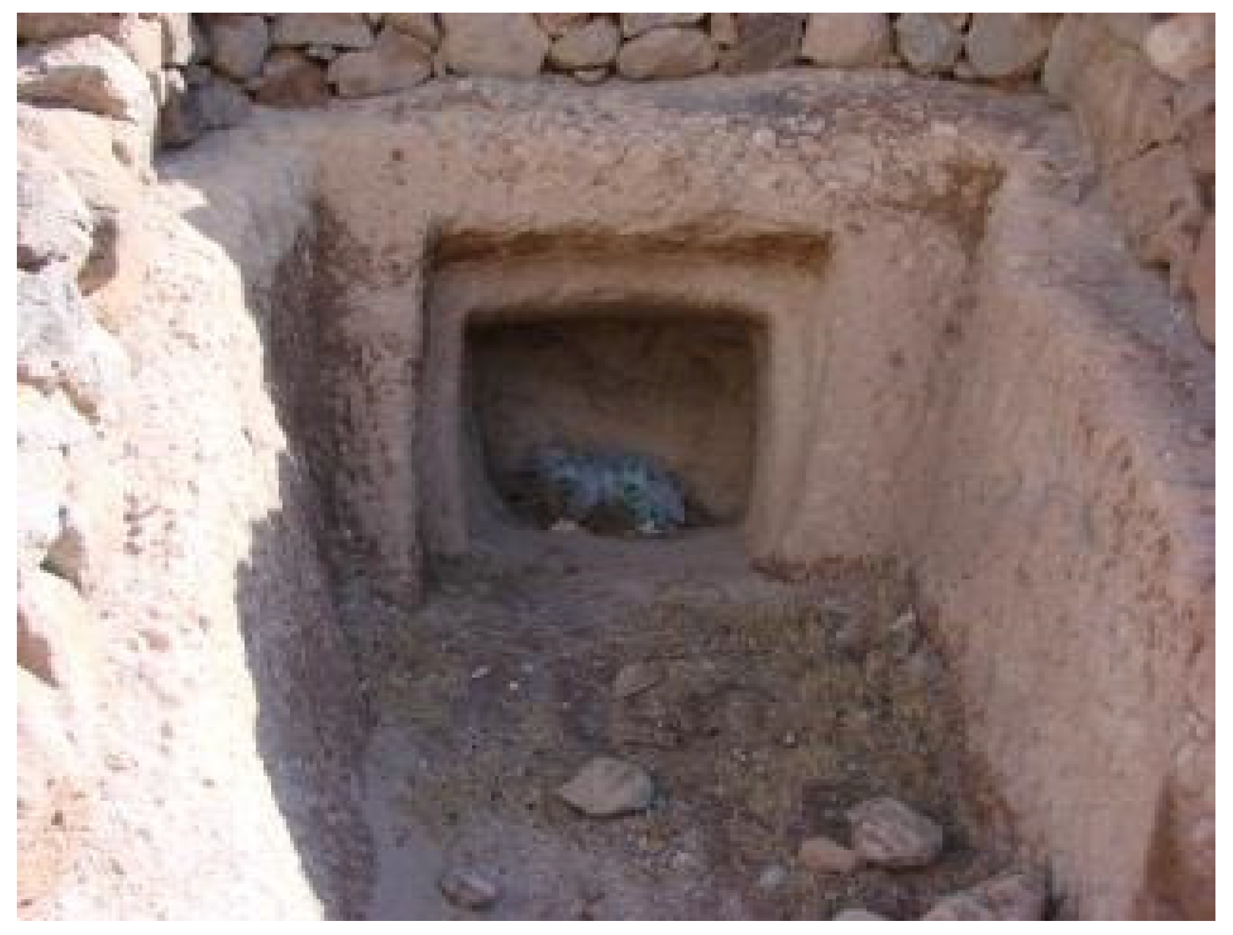 Designs 06 00064 g020