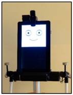 Designs 06 00066 i011