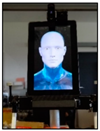 Designs 06 00066 i012