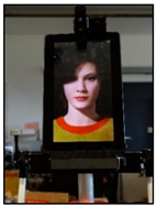 Designs 06 00066 i013