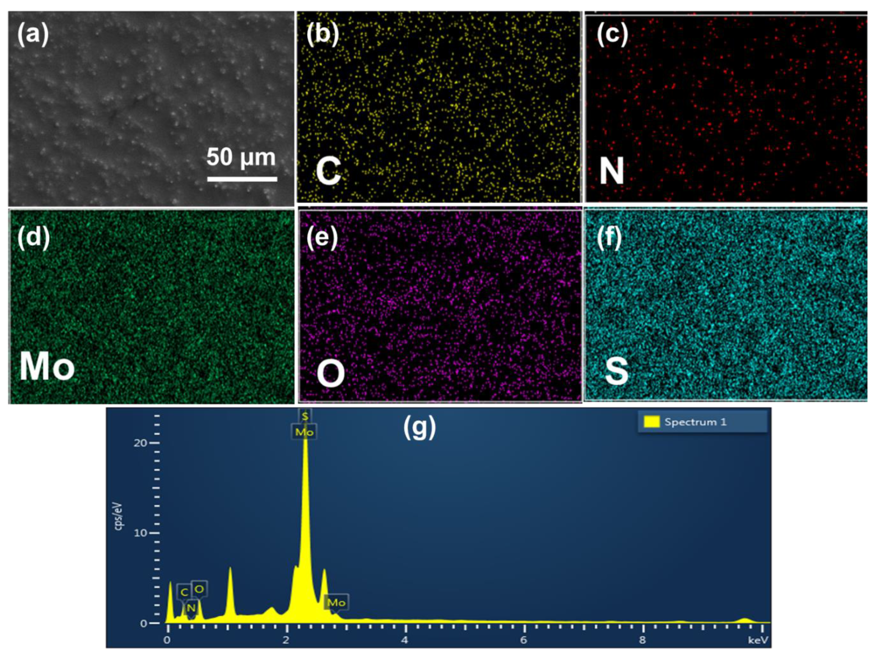 Designs 07 00013 g002