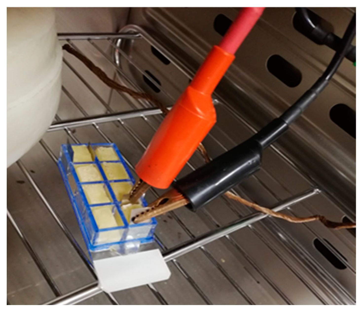 Designs 07 00035 g002