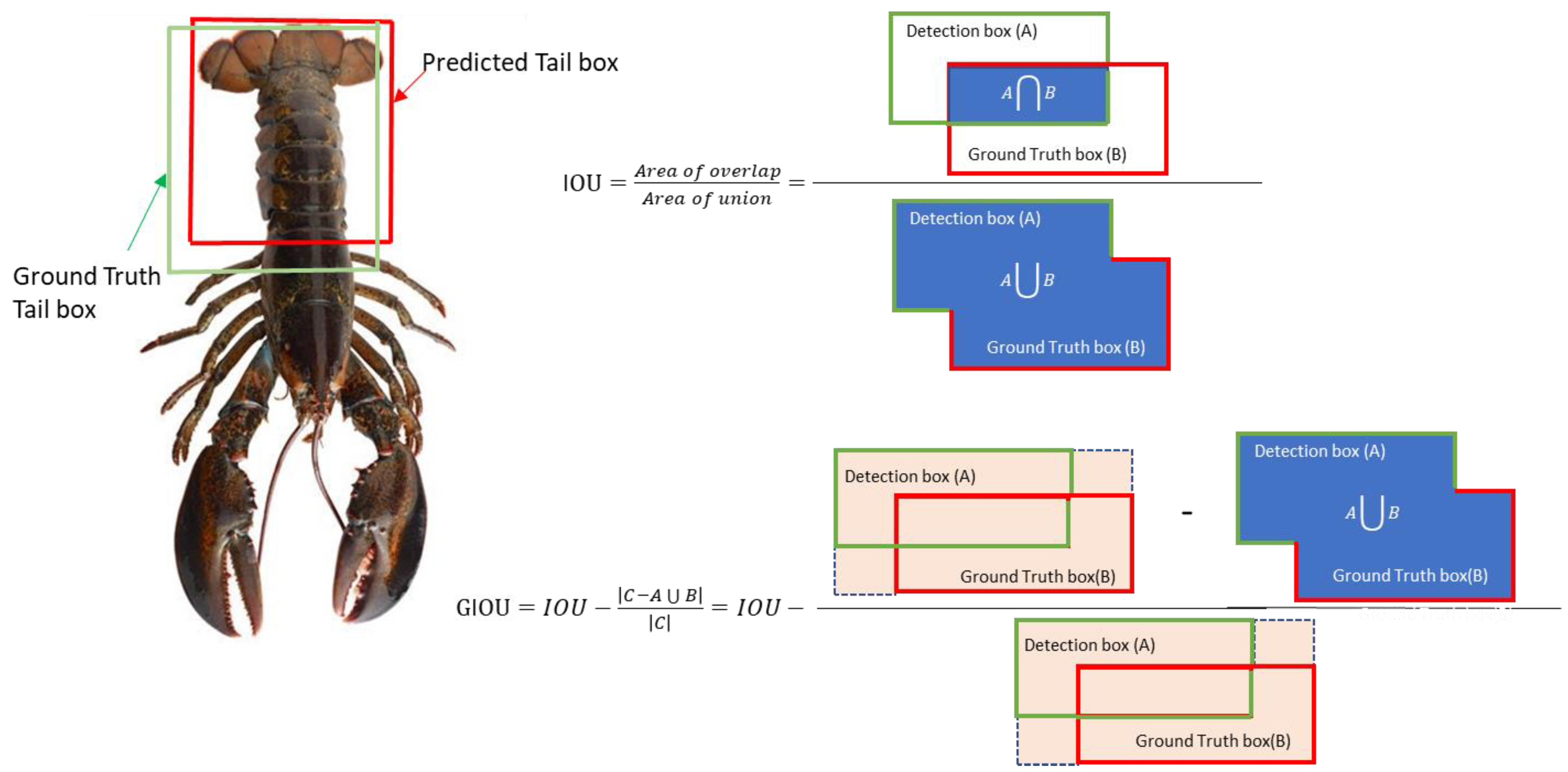 Designs 07 00070 g007