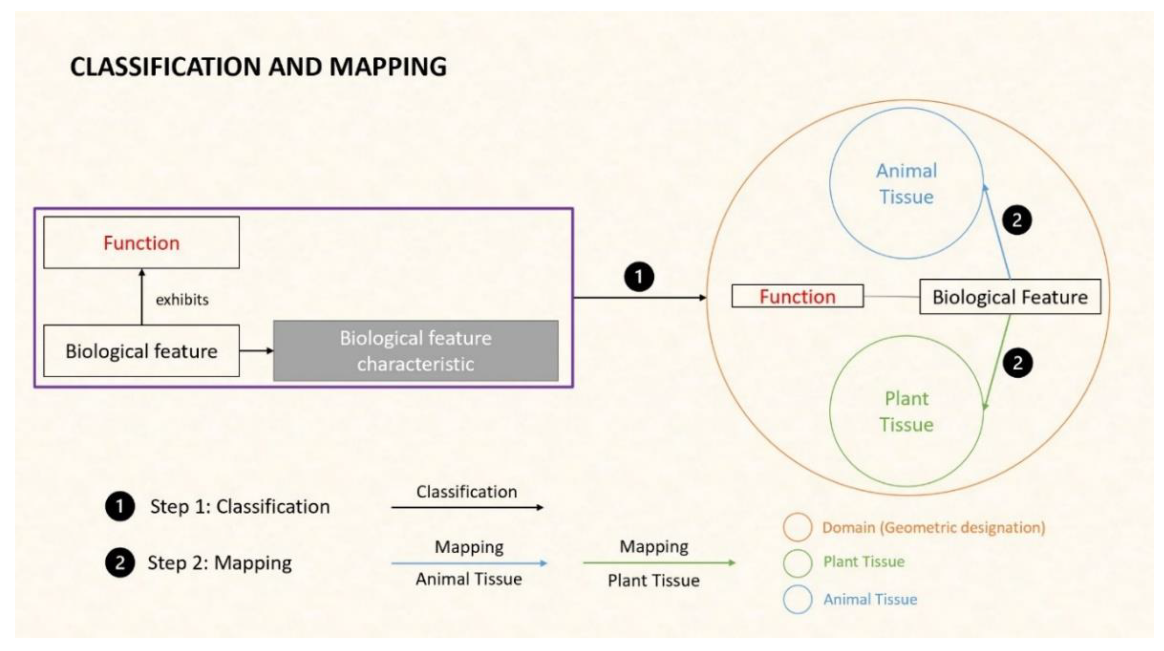 Designs 07 00086 g001