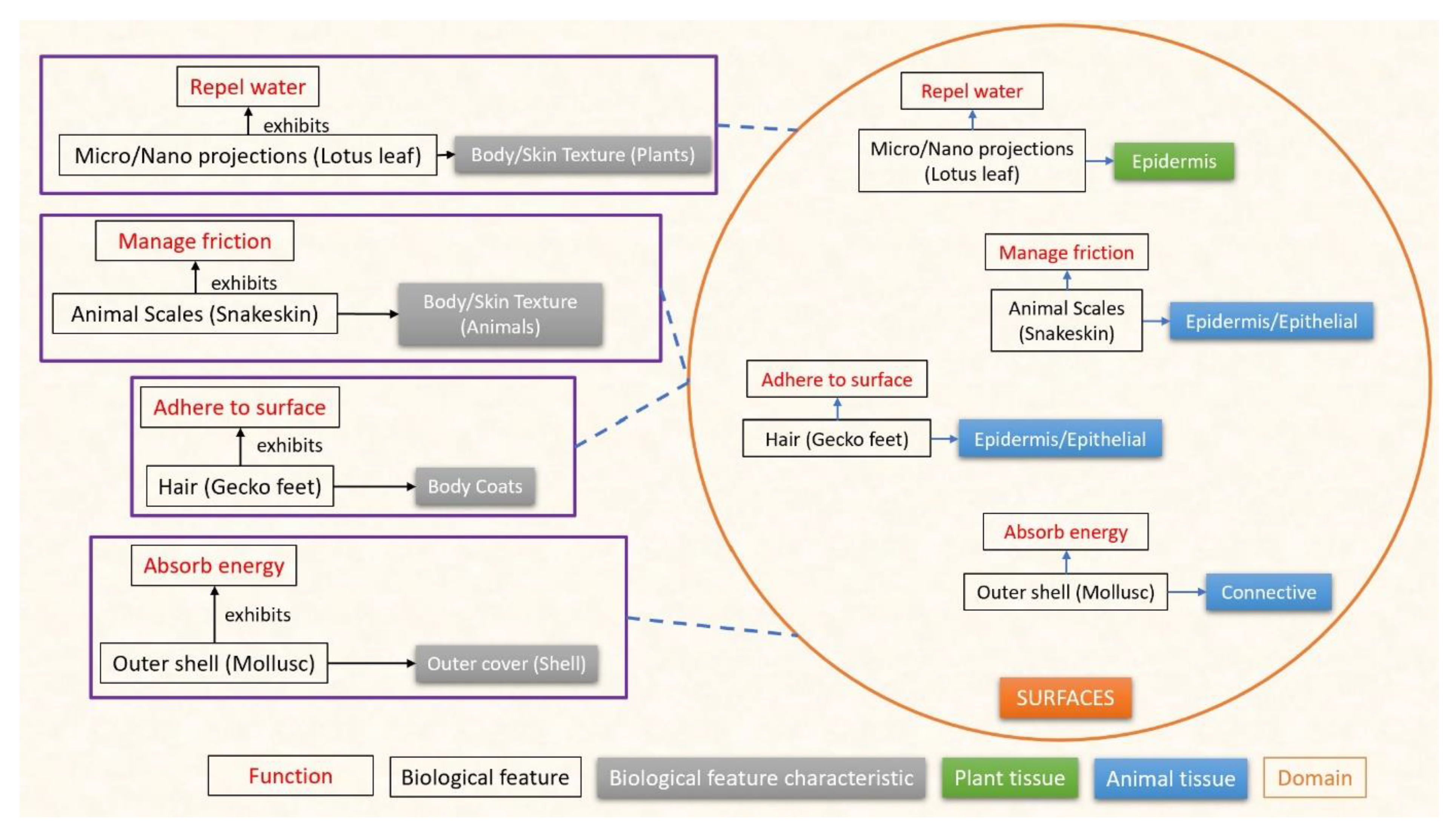 Designs 07 00086 g004