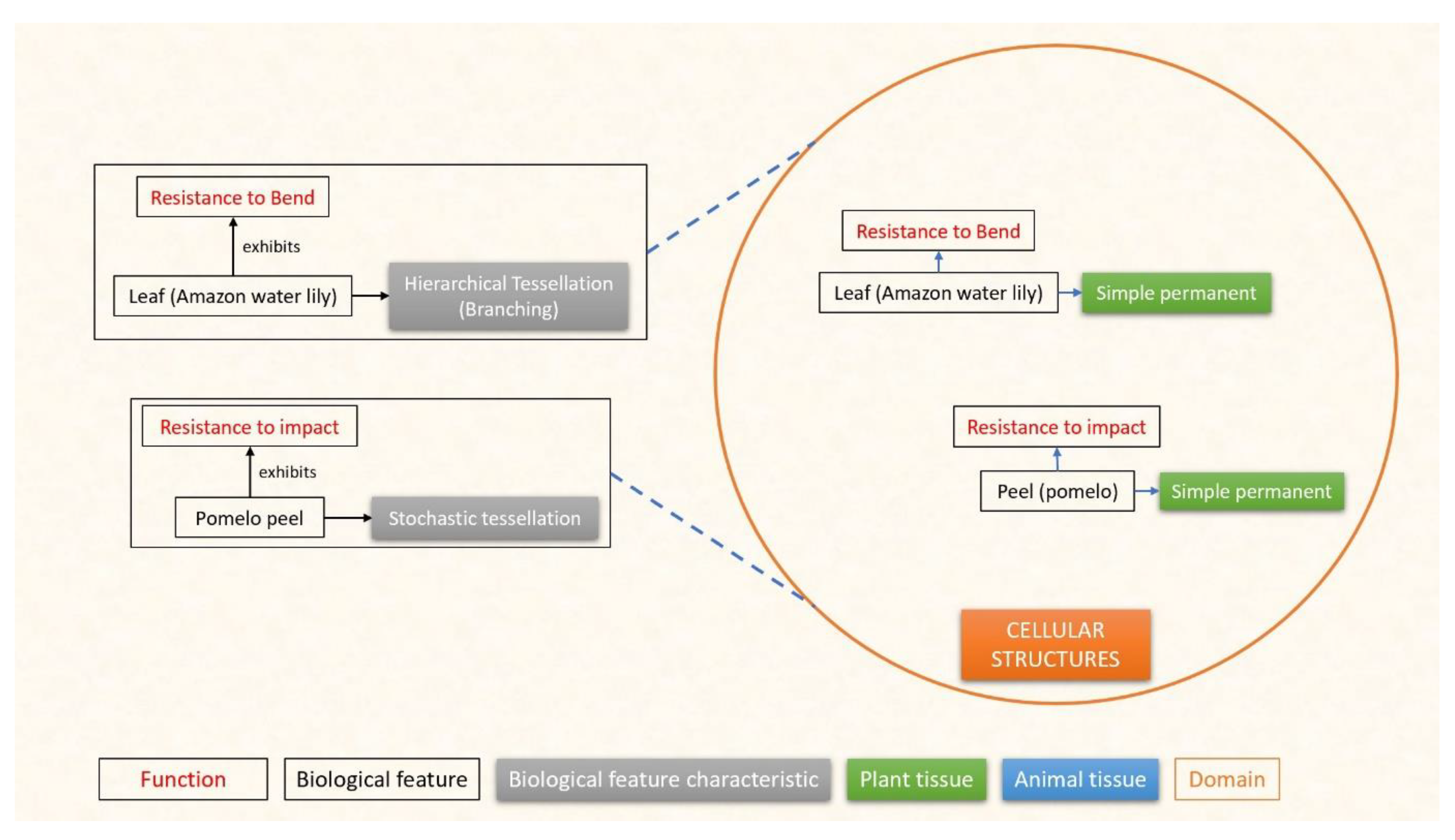 Designs 07 00086 g005