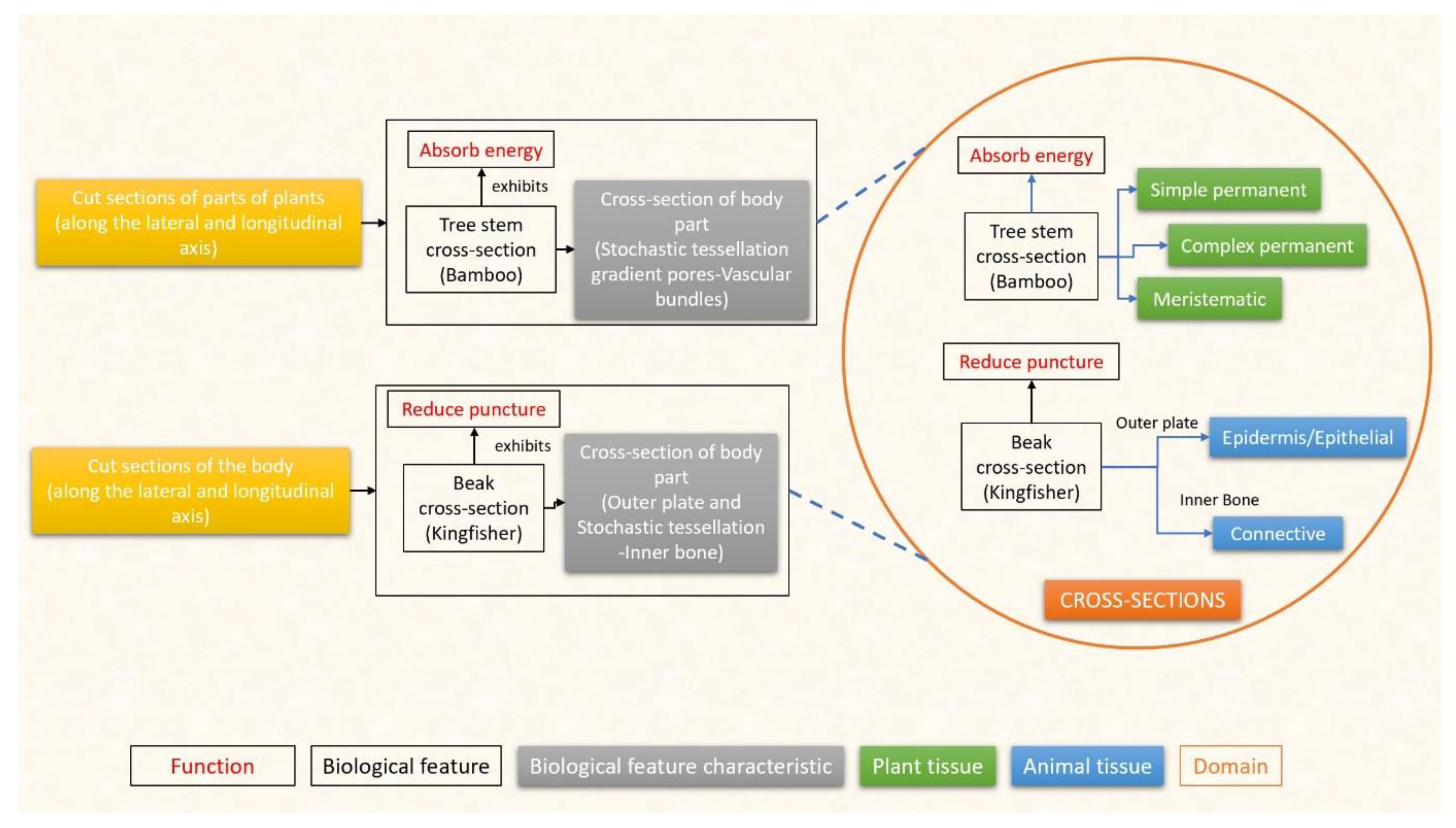 Designs 07 00086 g006