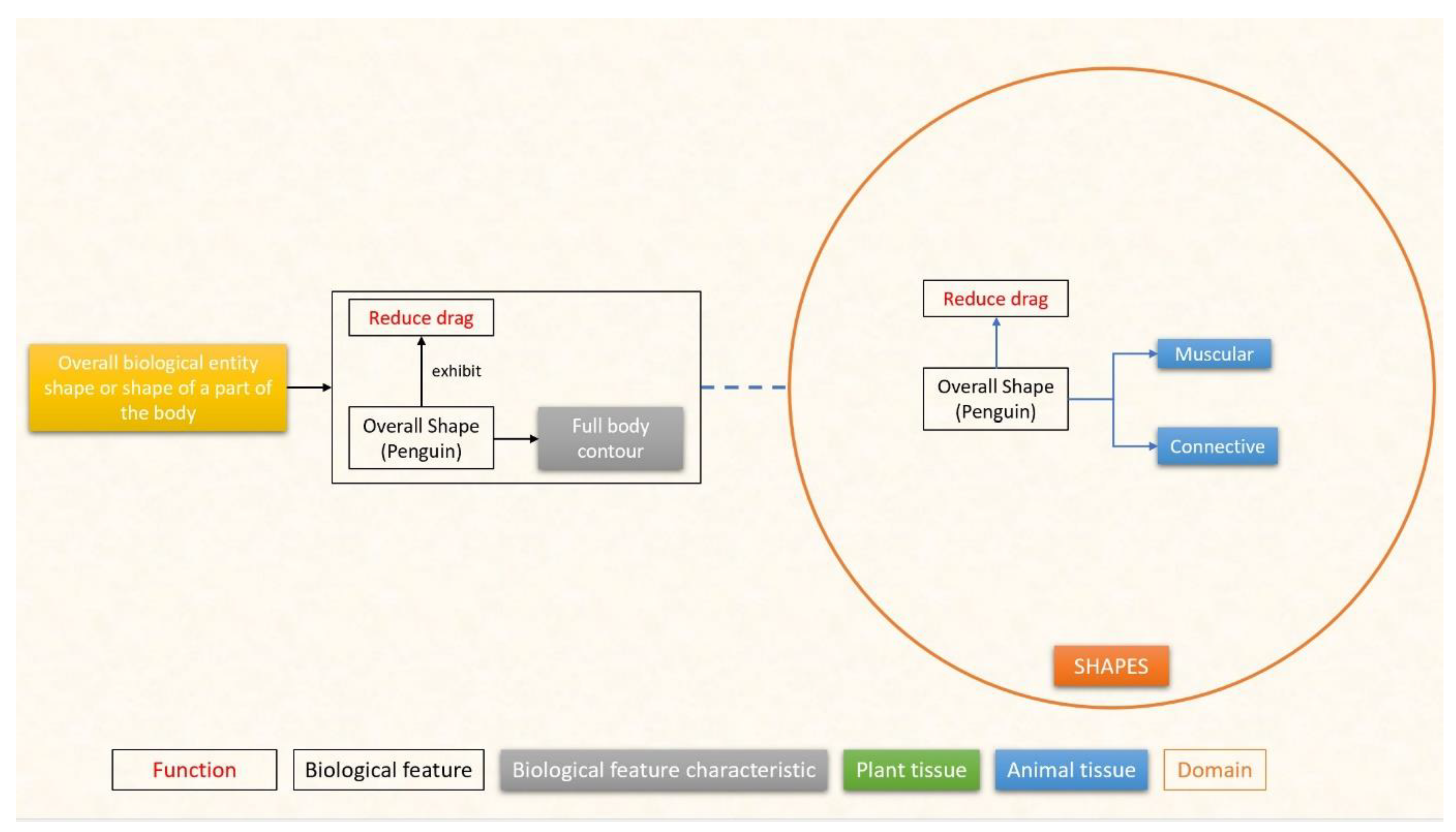 Designs 07 00086 g007