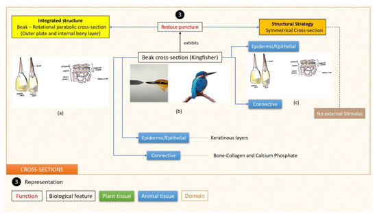 Designs 07 00086 g013