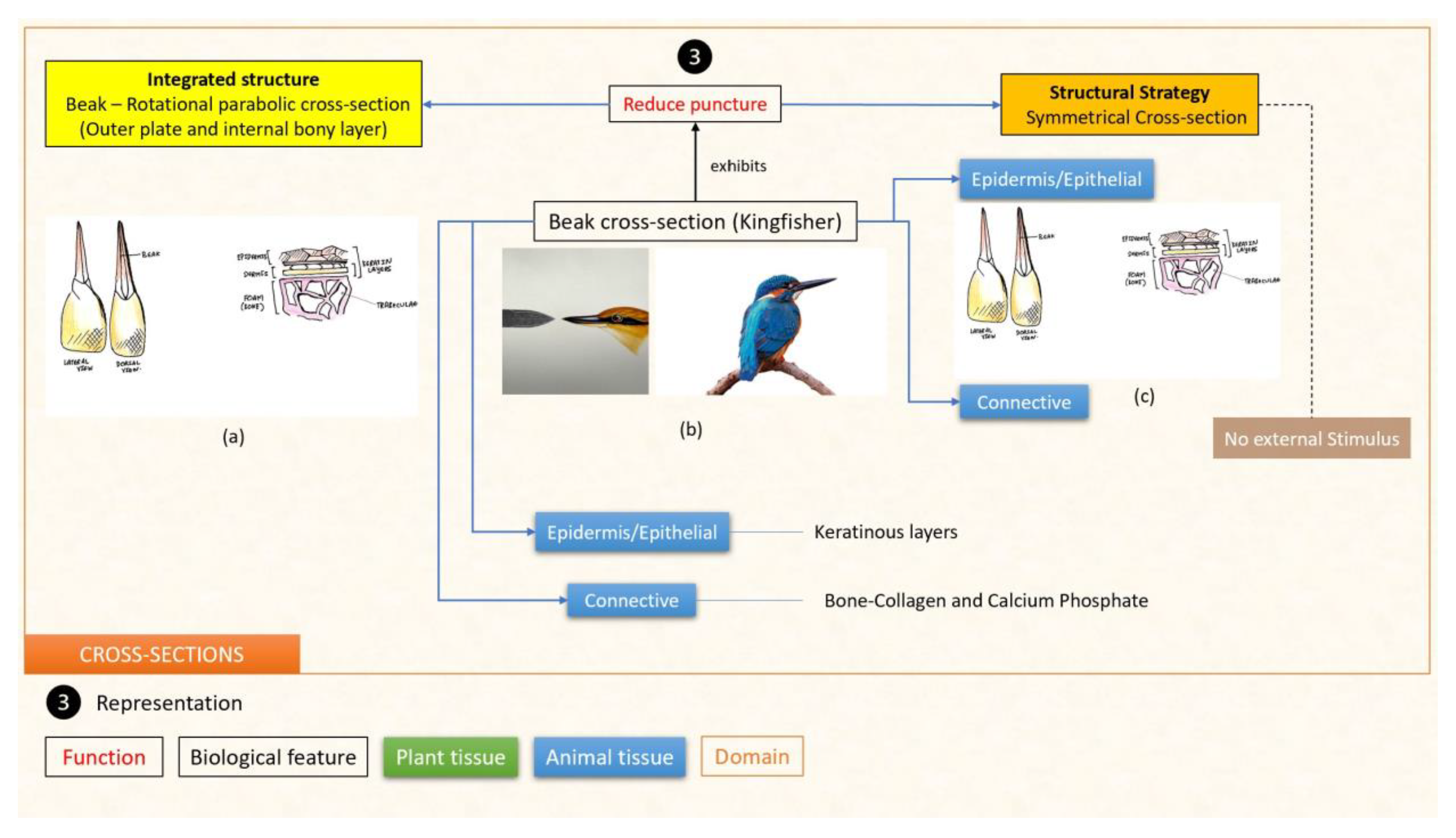 Designs 07 00086 g013