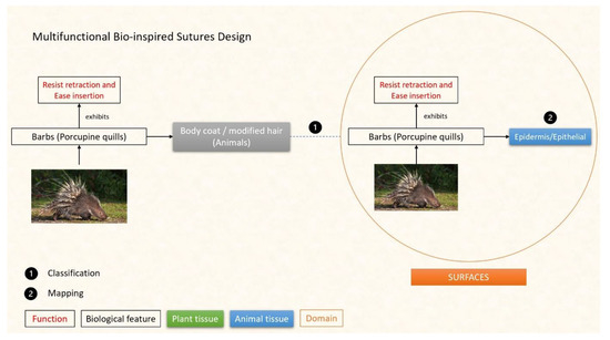 Designs 07 00086 g014