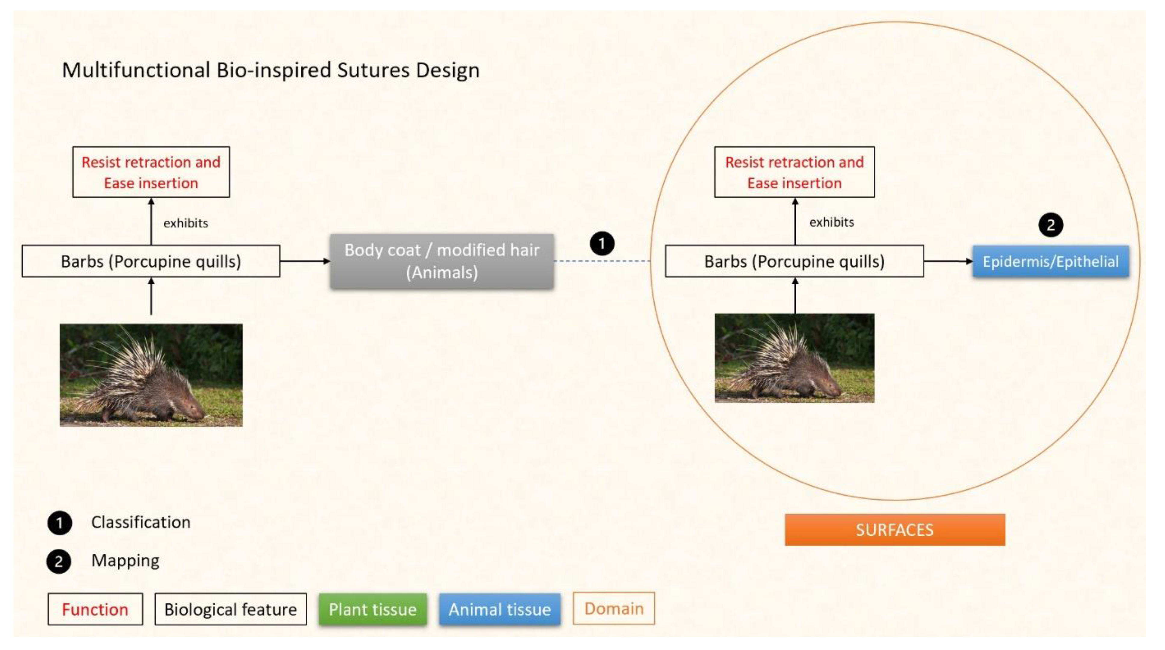 Designs 07 00086 g014