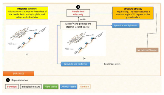 Designs 07 00086 g020