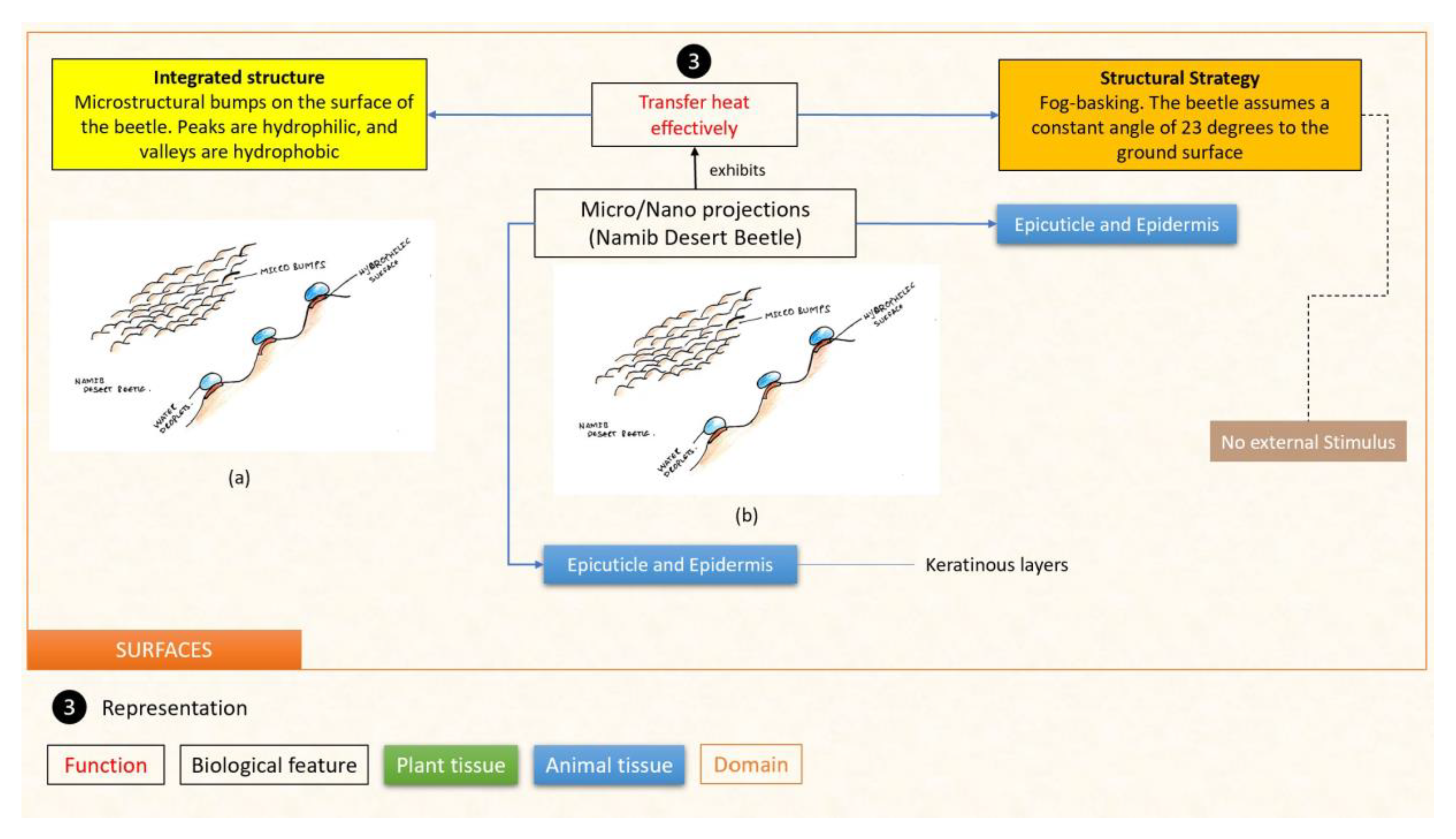 Designs 07 00086 g020