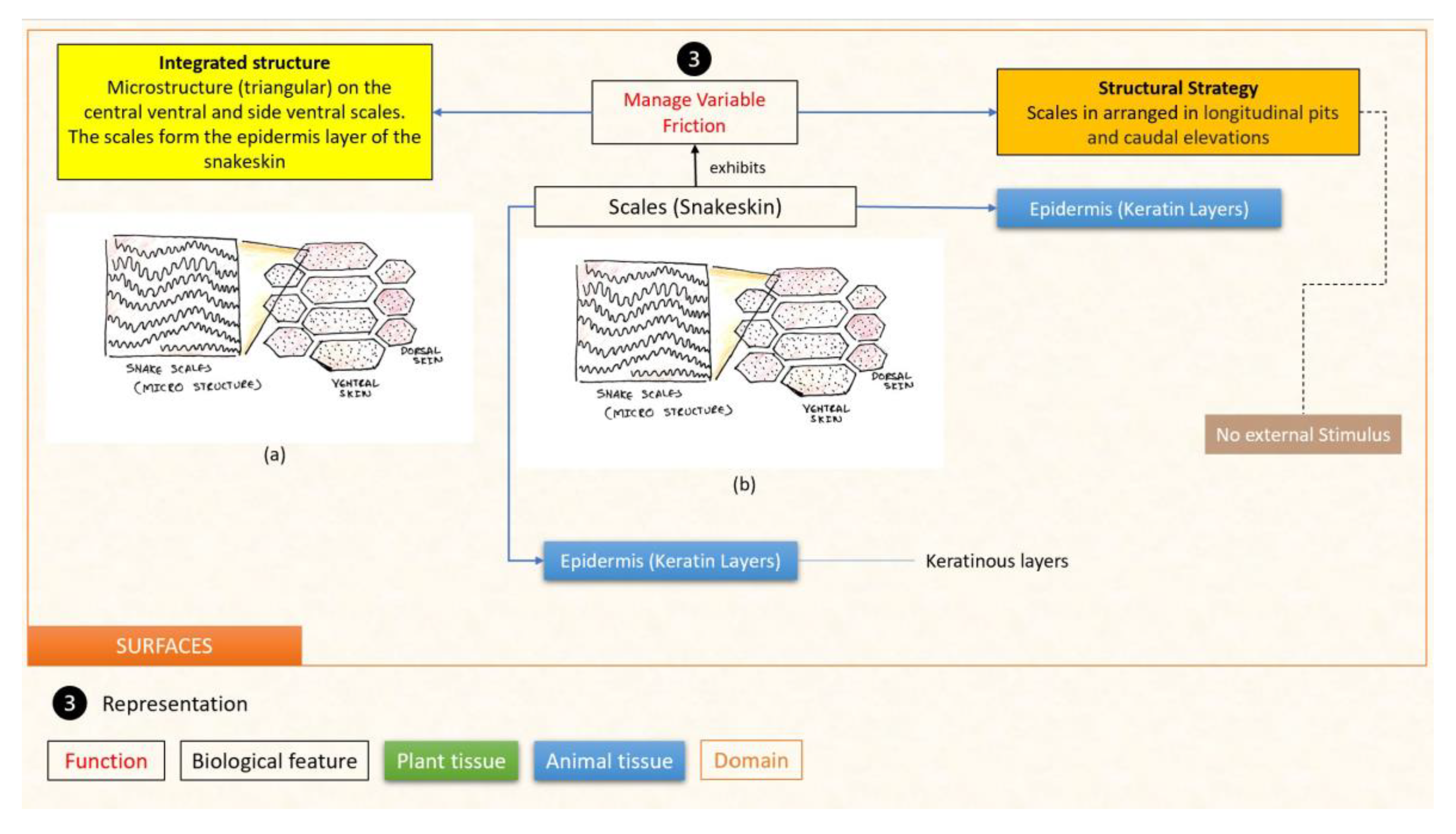 Designs 07 00086 g023