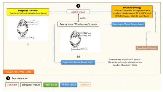 Designs 07 00086 g025