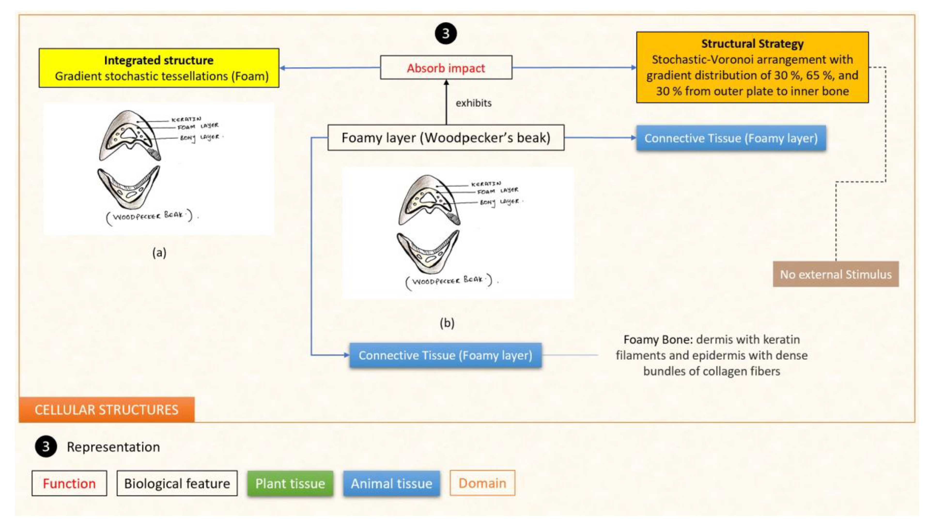 Designs 07 00086 g025