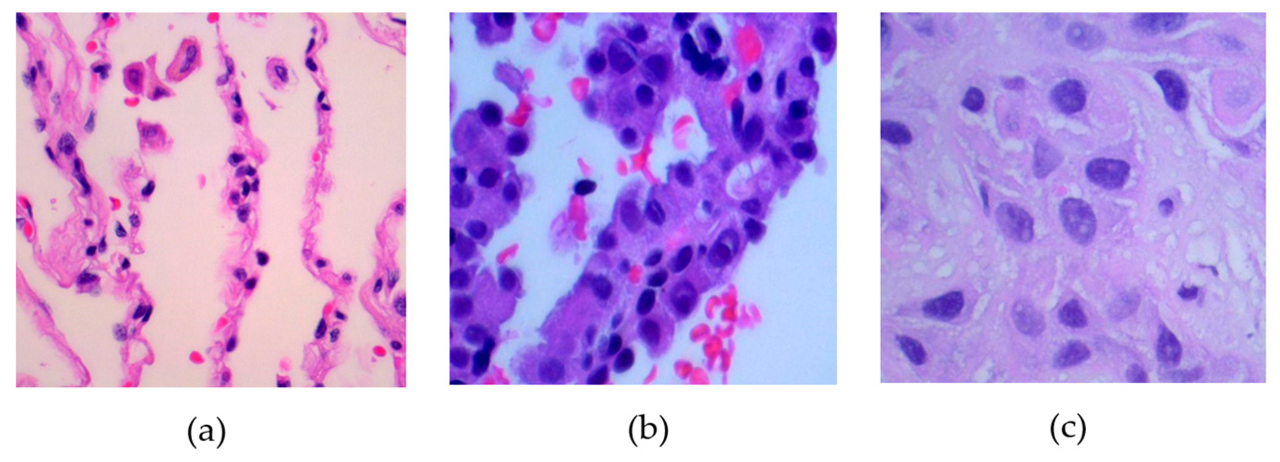 Designs 08 00027 g001