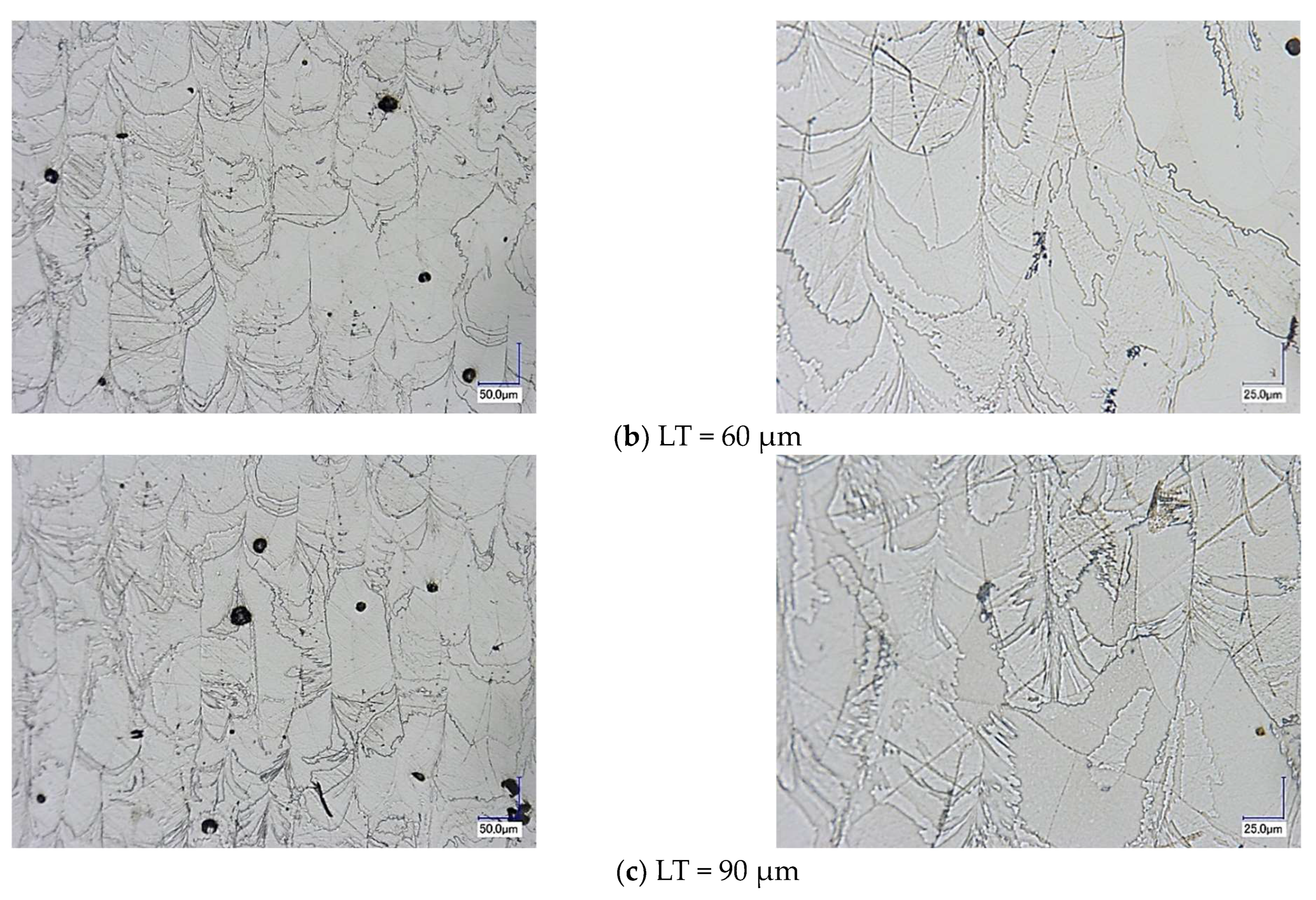 Designs 08 00045 g011b