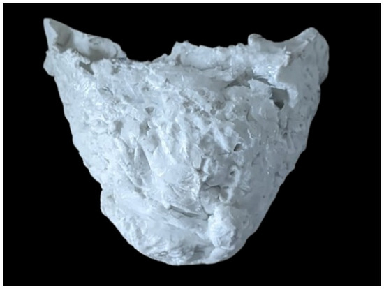 Designs 08 00051 g003