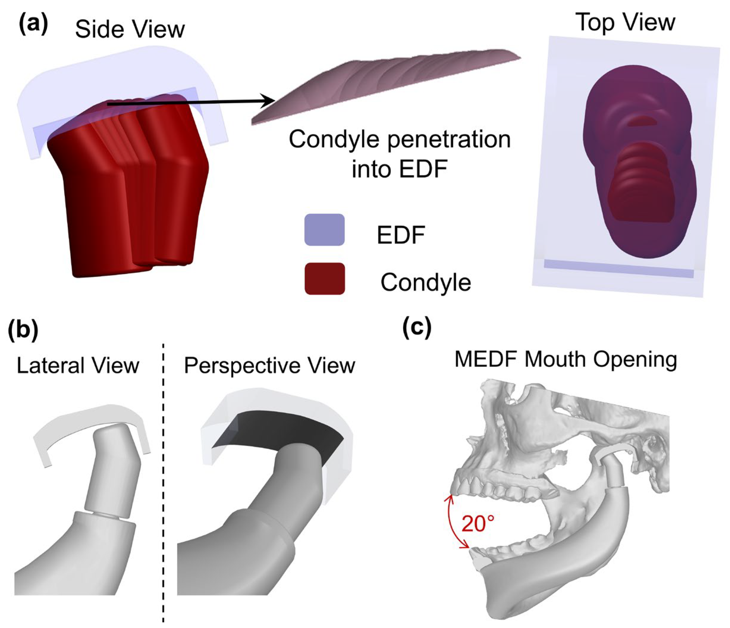Designs 09 00078 g005