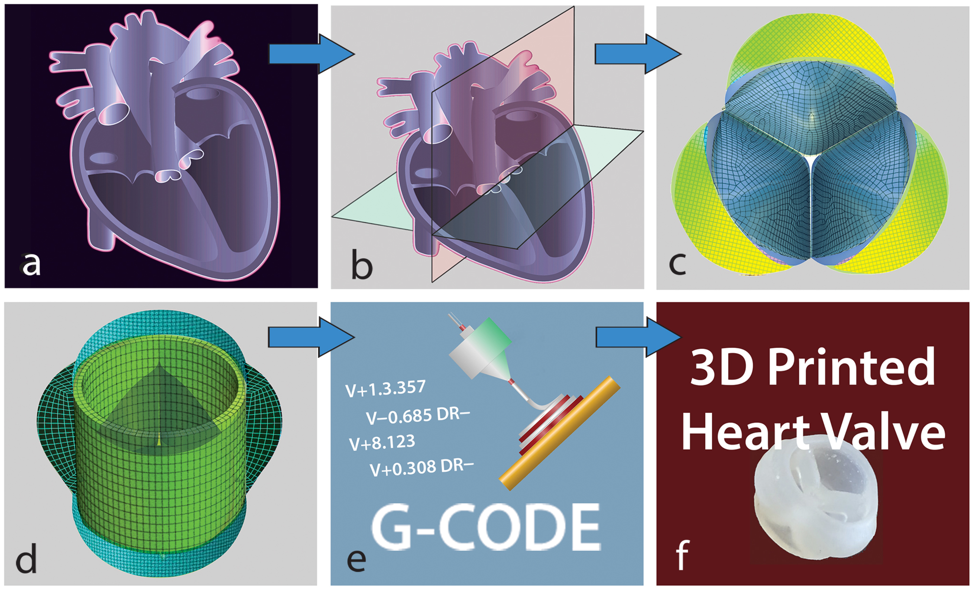 Designs 09 00098 g001