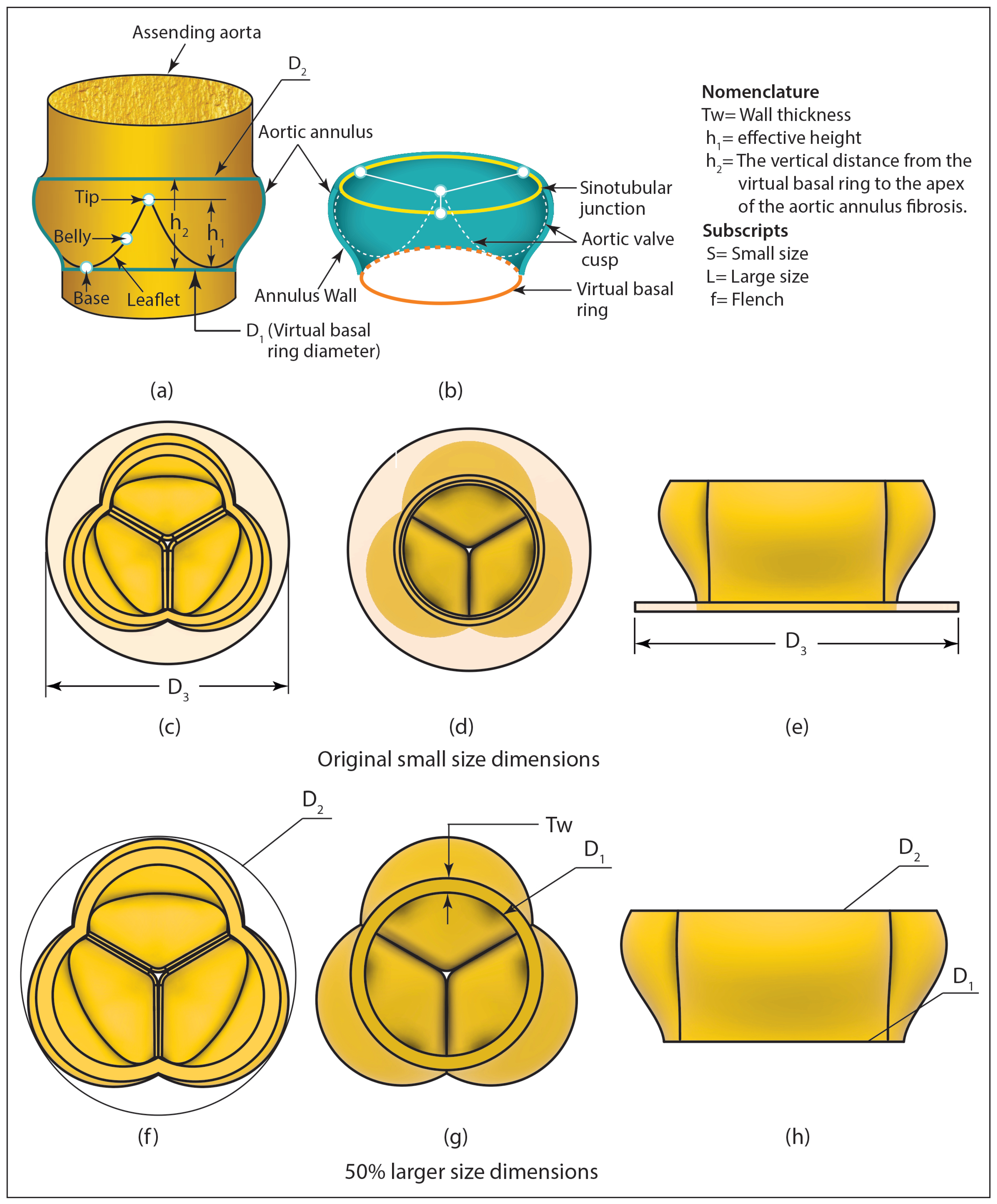 Designs 09 00098 g007