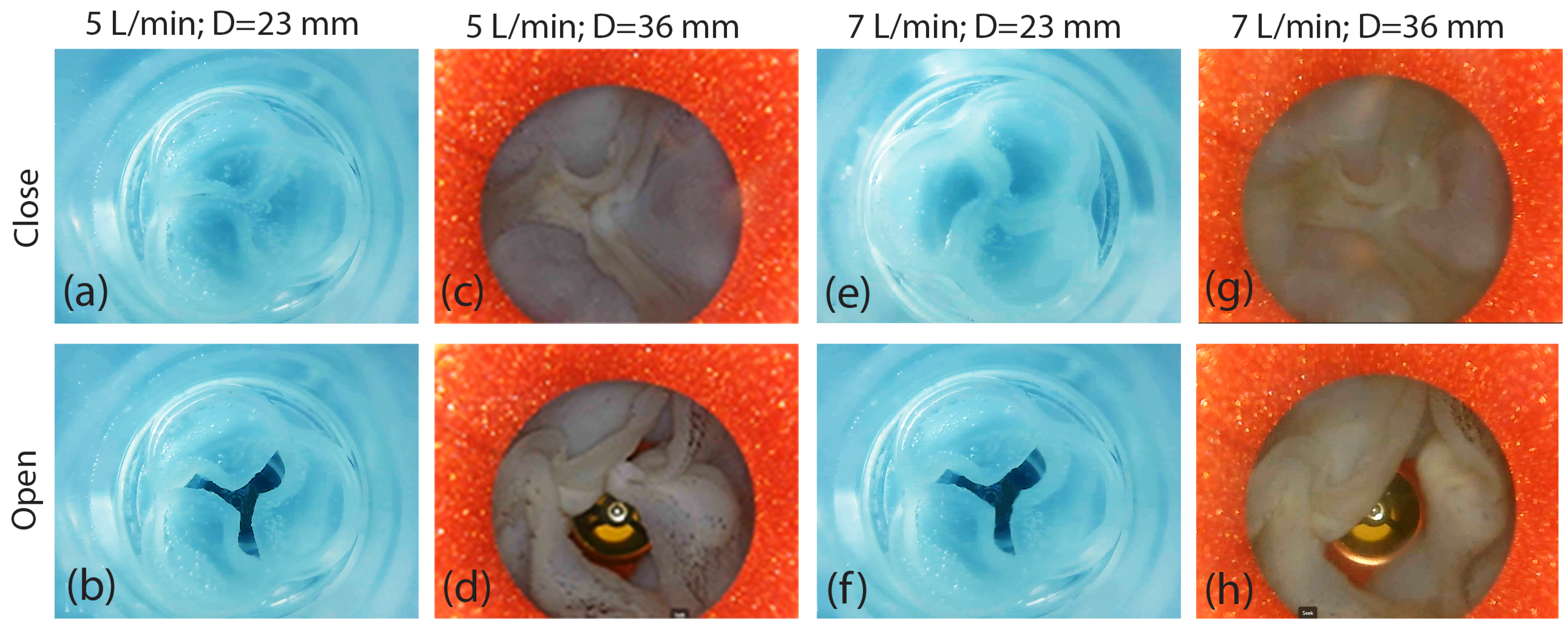 Designs 09 00098 g015