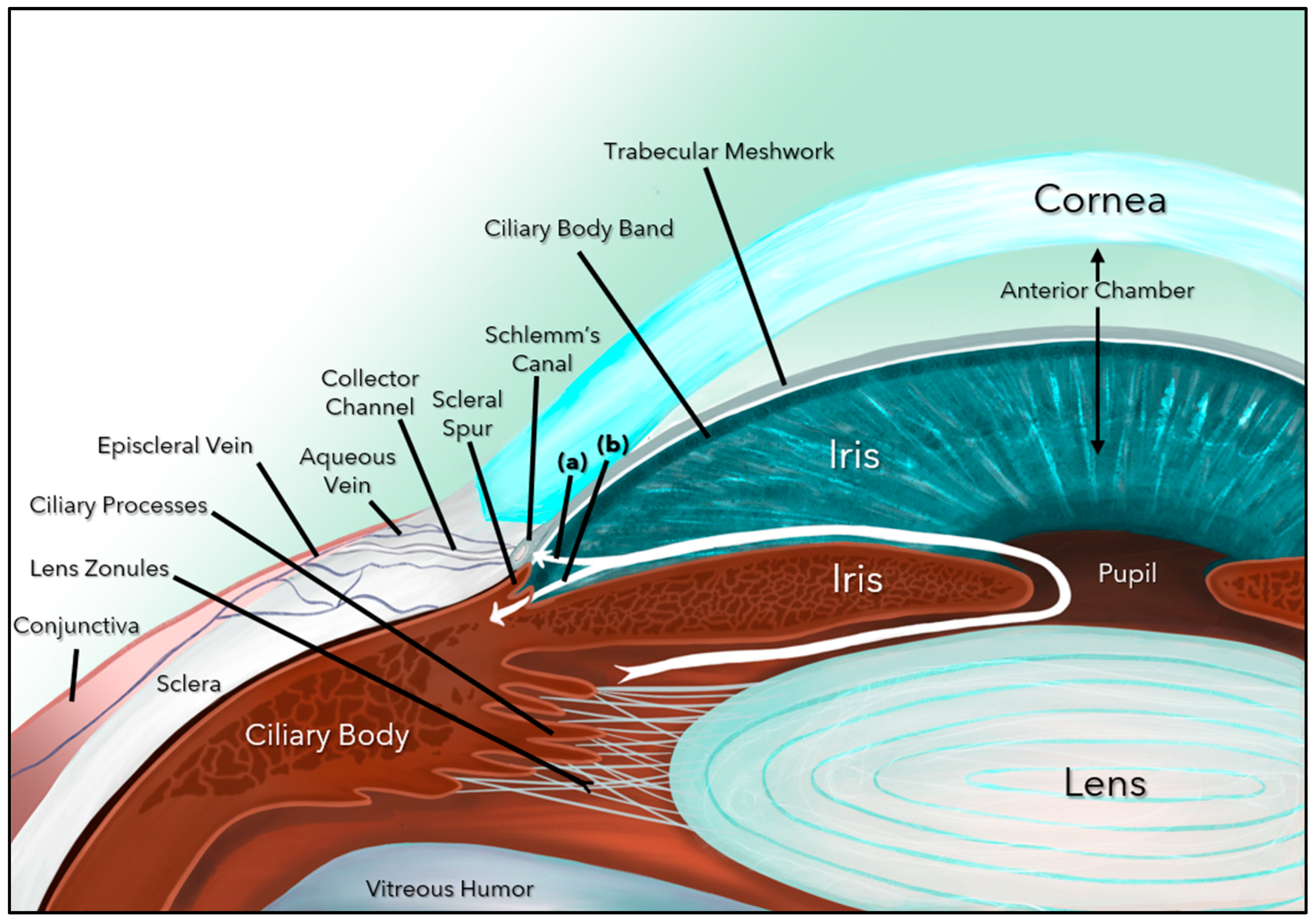 Designs 09 00145 g001