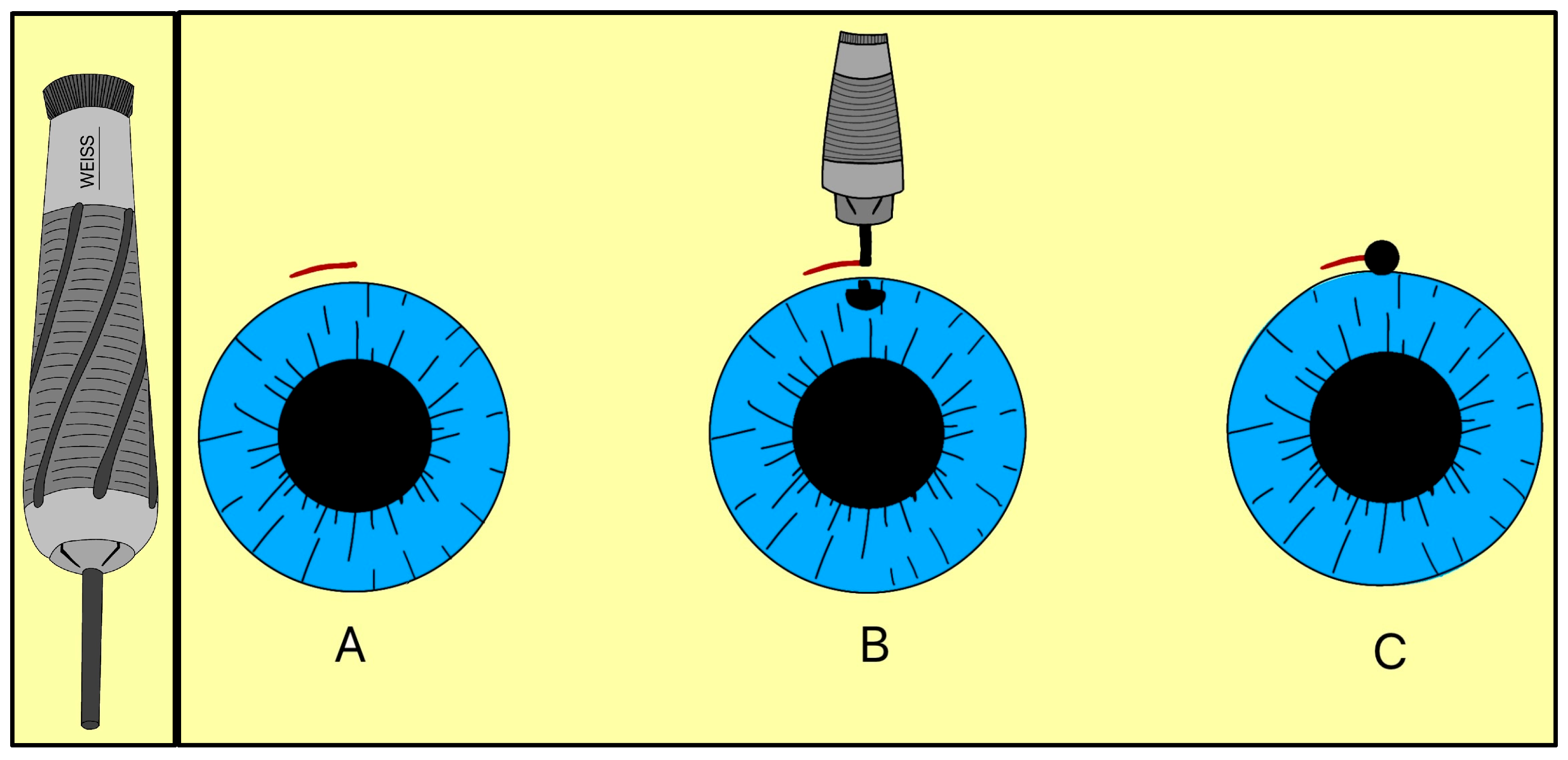 Designs 09 00145 g006