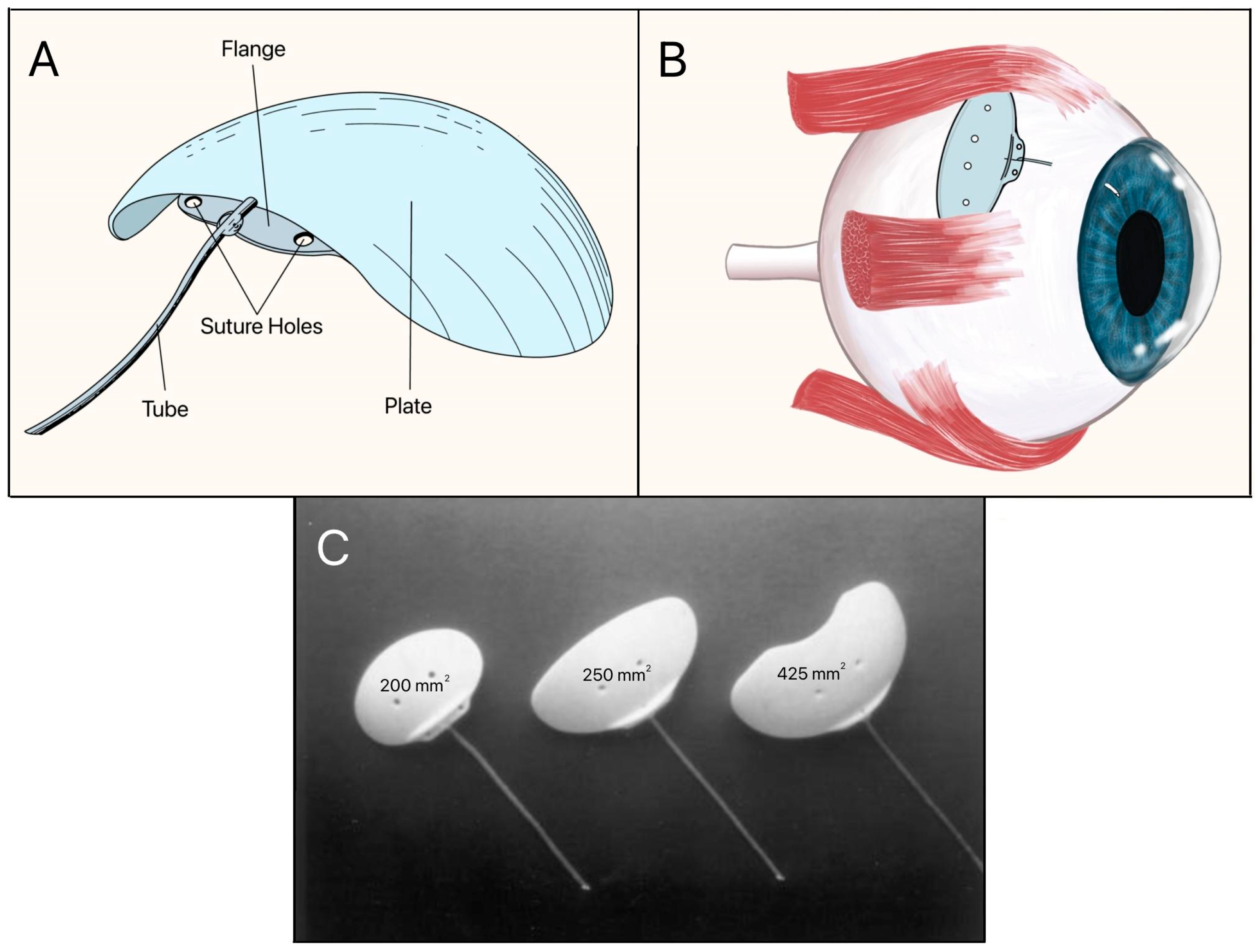 Designs 09 00145 g010