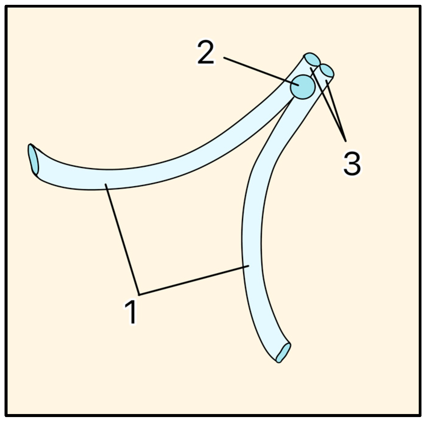 Designs 09 00145 g015