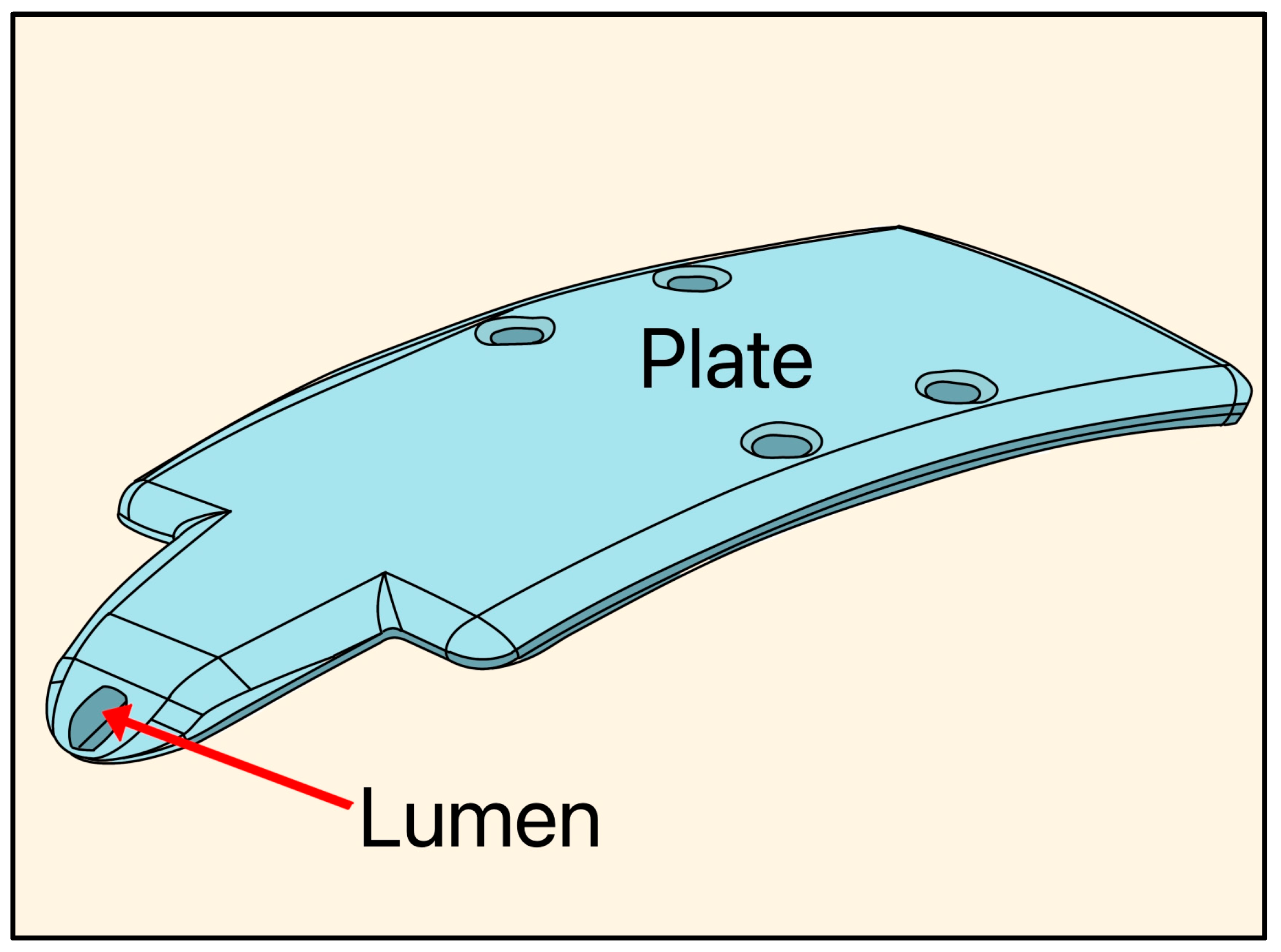 Designs 09 00145 g020