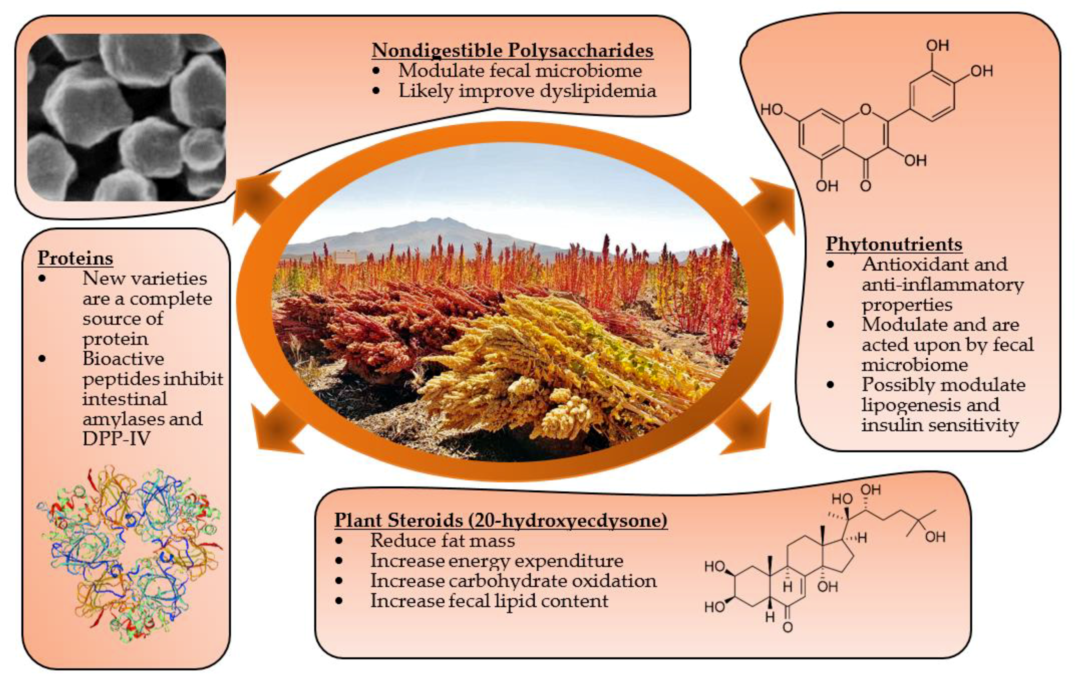 Diabetology 02 00007 g001