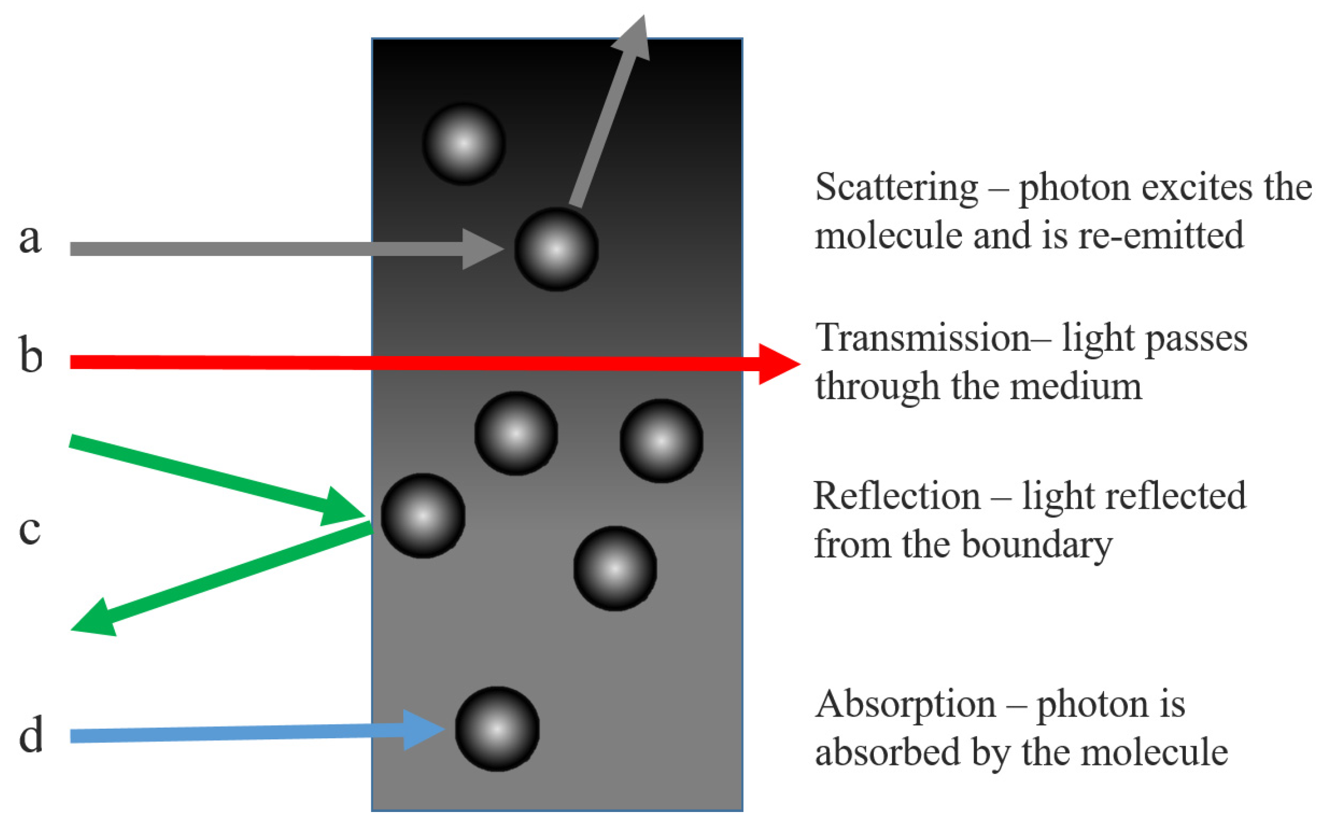 Diabetology 03 00005 g001