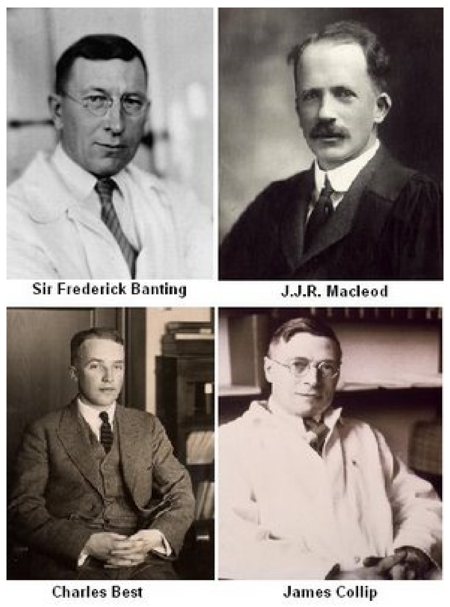 Diabetology 03 00010 g003