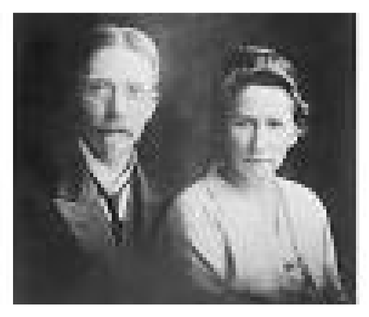 Diabetology 03 00010 g006