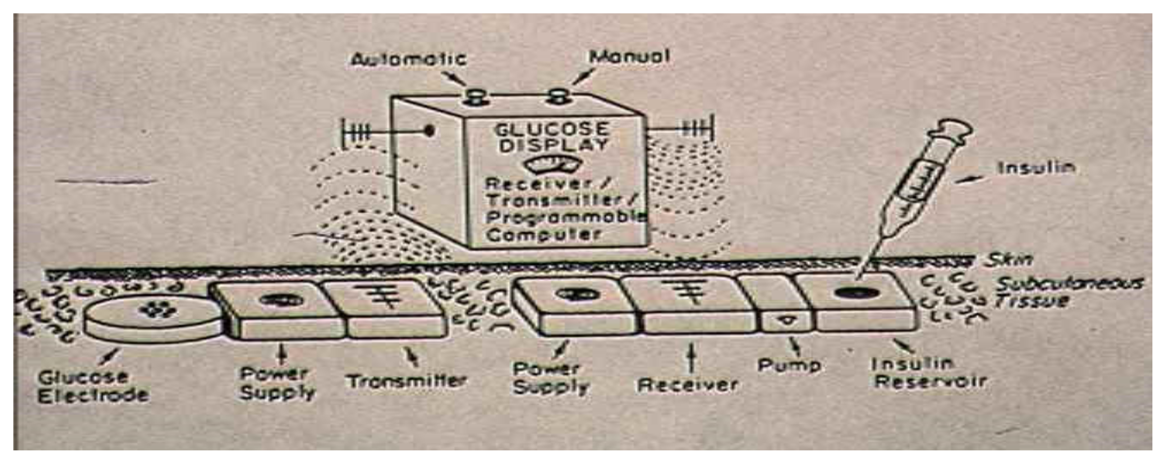 Diabetology 03 00010 g050