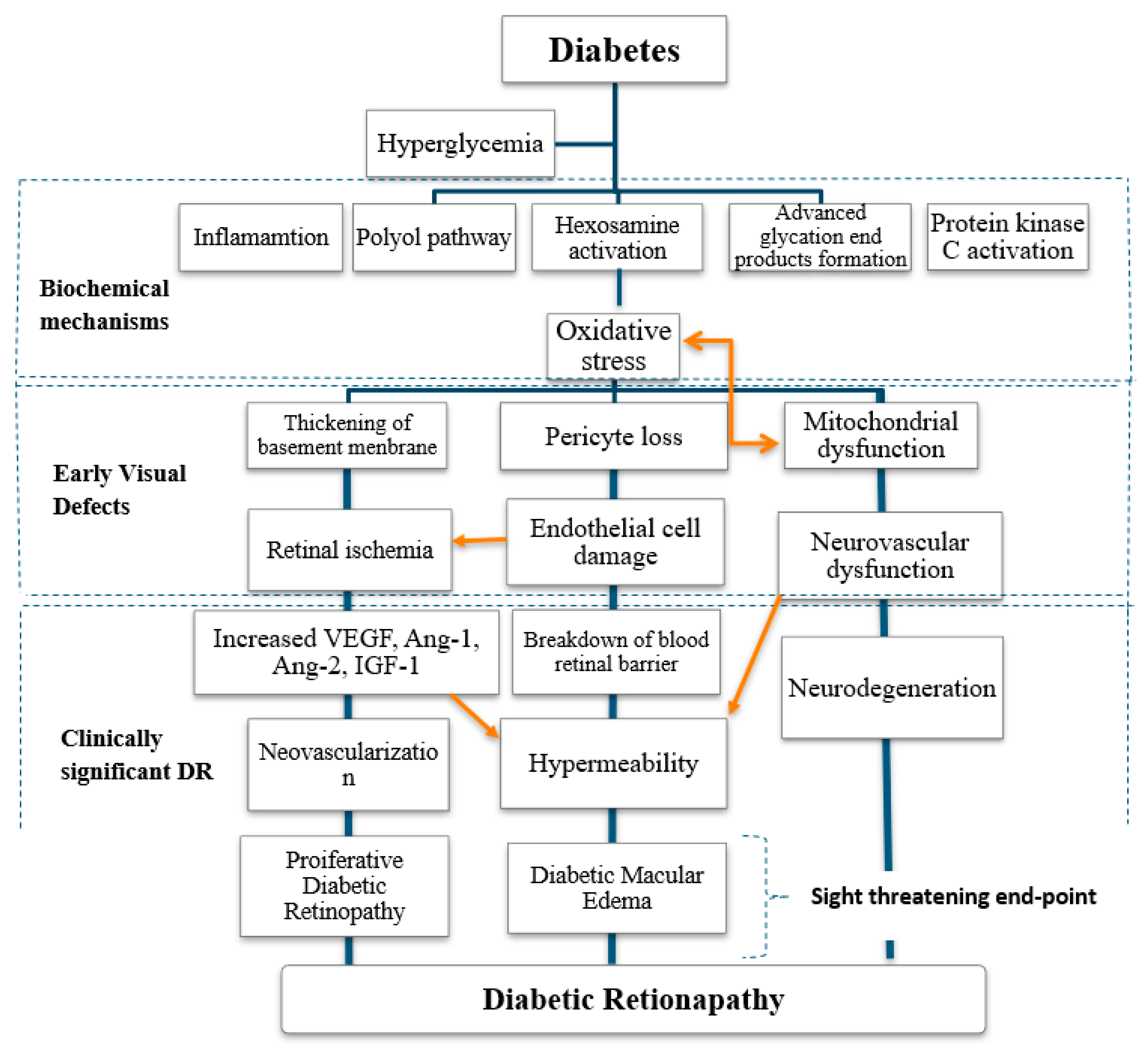 Diabetology 03 00011 g002