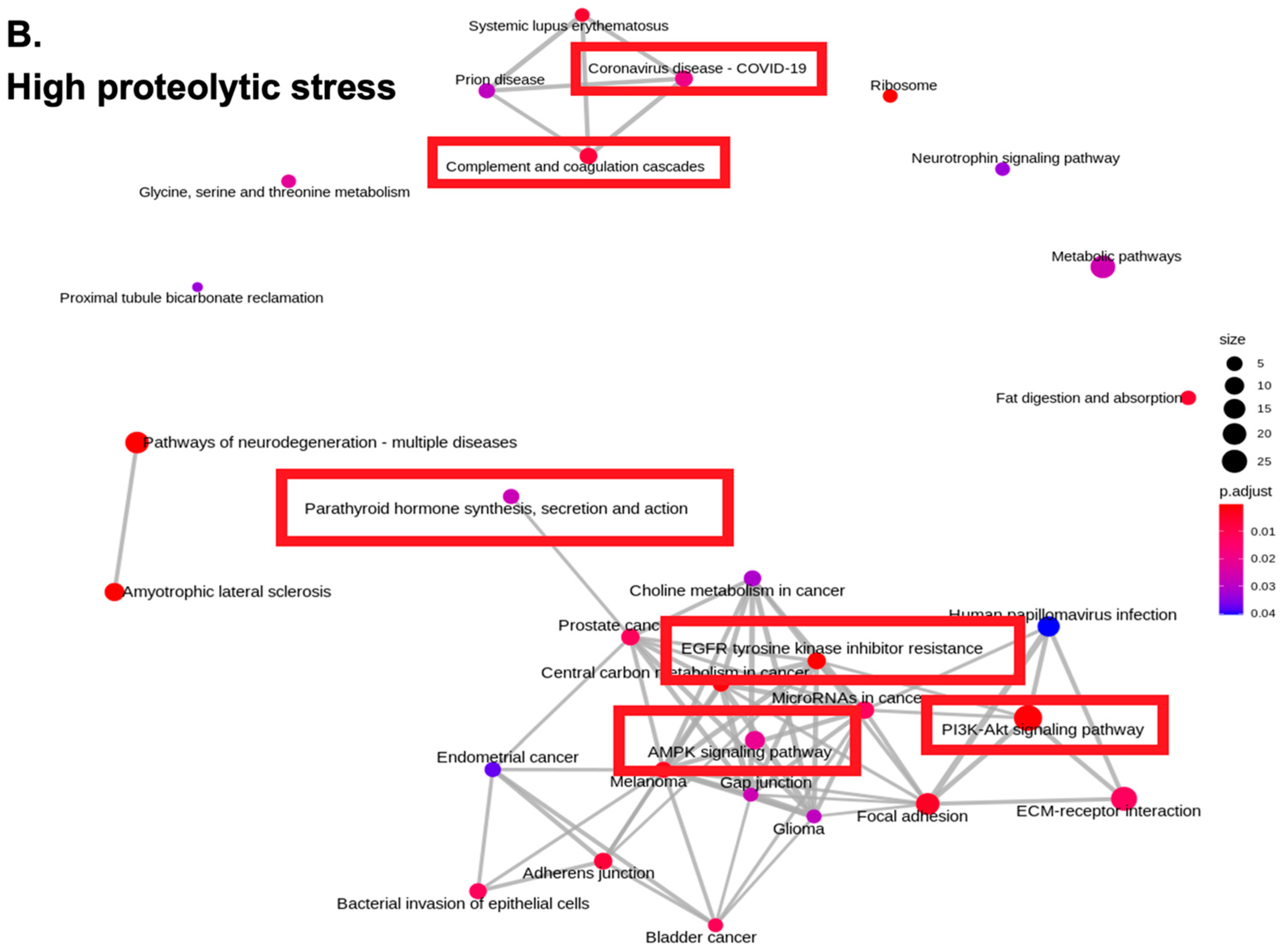Diabetology 03 00013 g001b