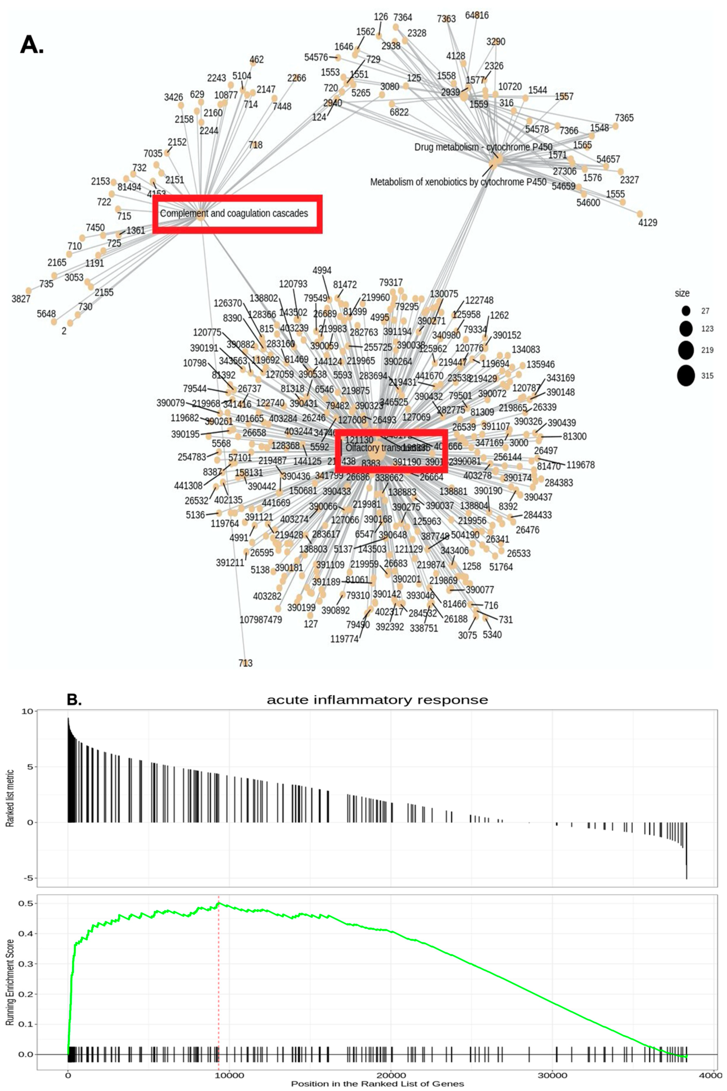 Diabetology 03 00013 g002a
