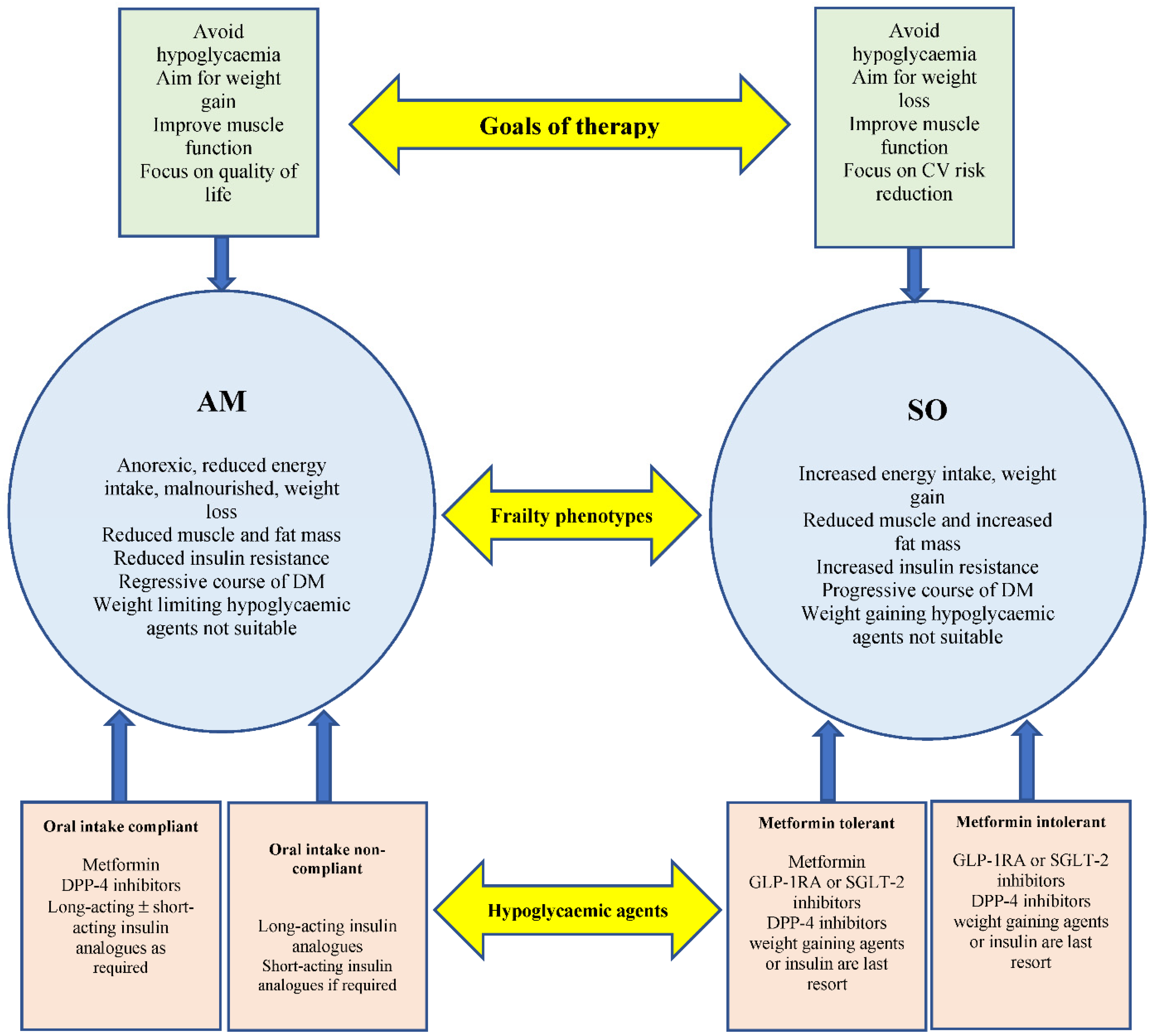 Diabetology 03 00028 g002