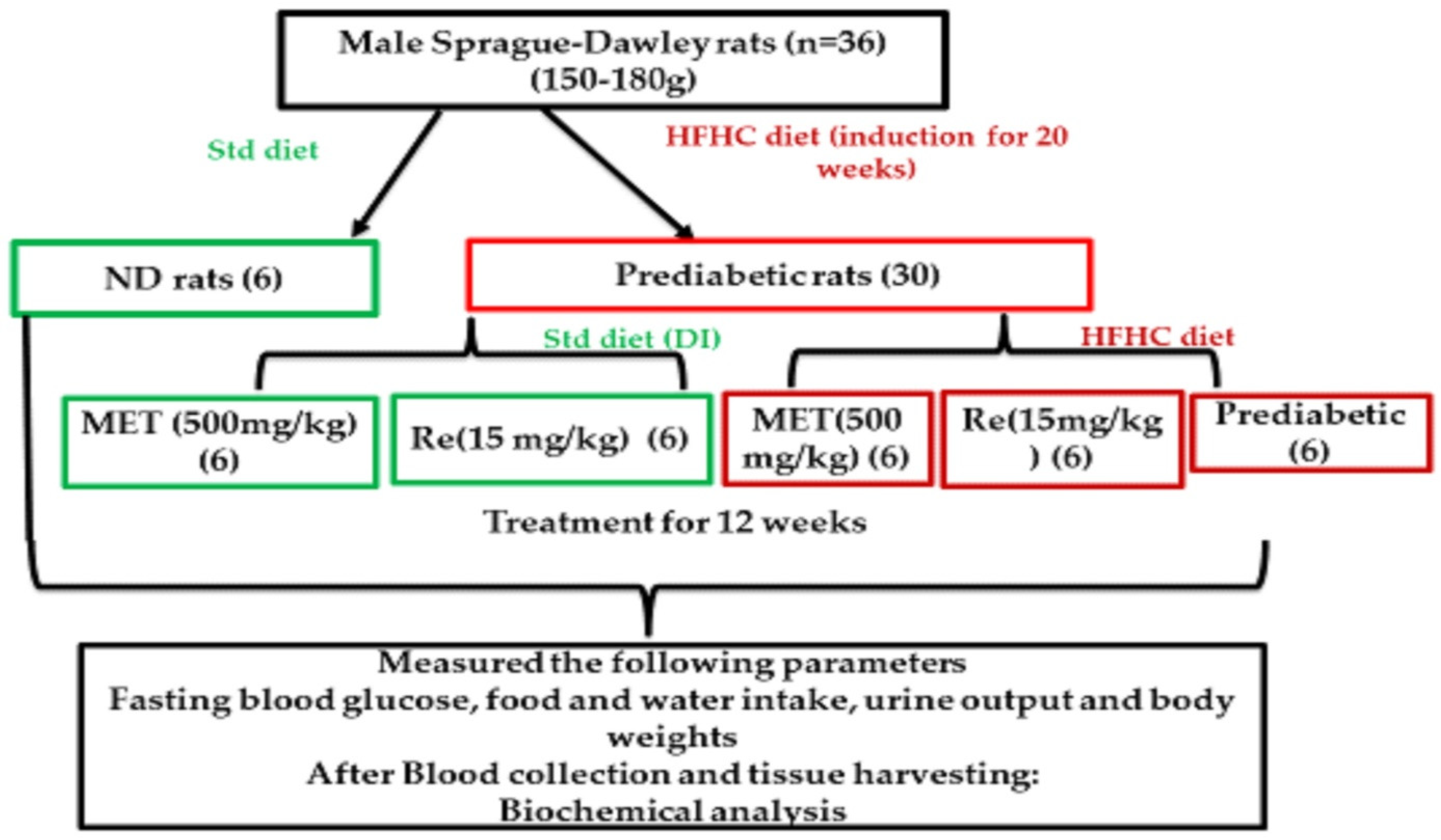 Diabetology 03 00040 g001