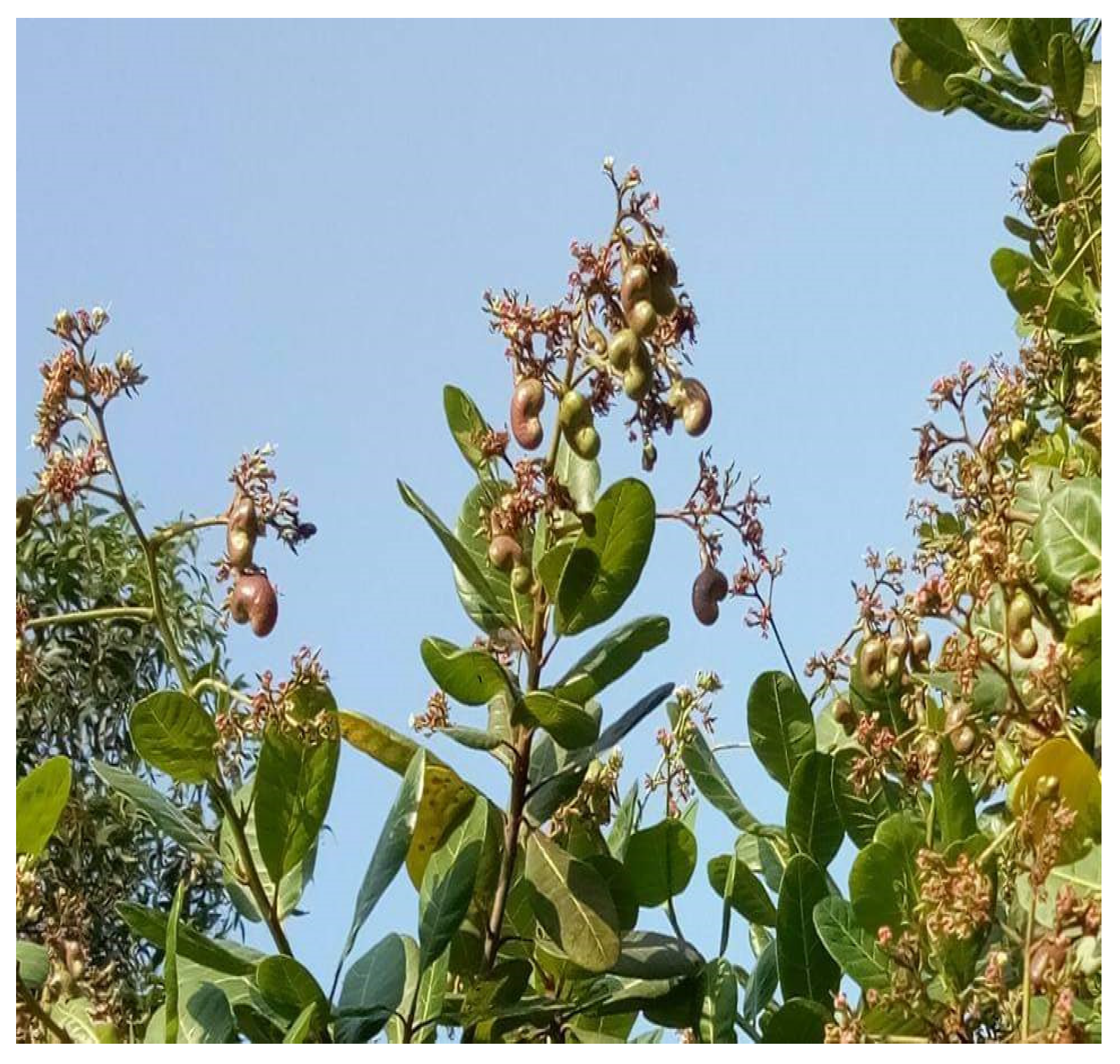 Diabetology 04 00019 g004