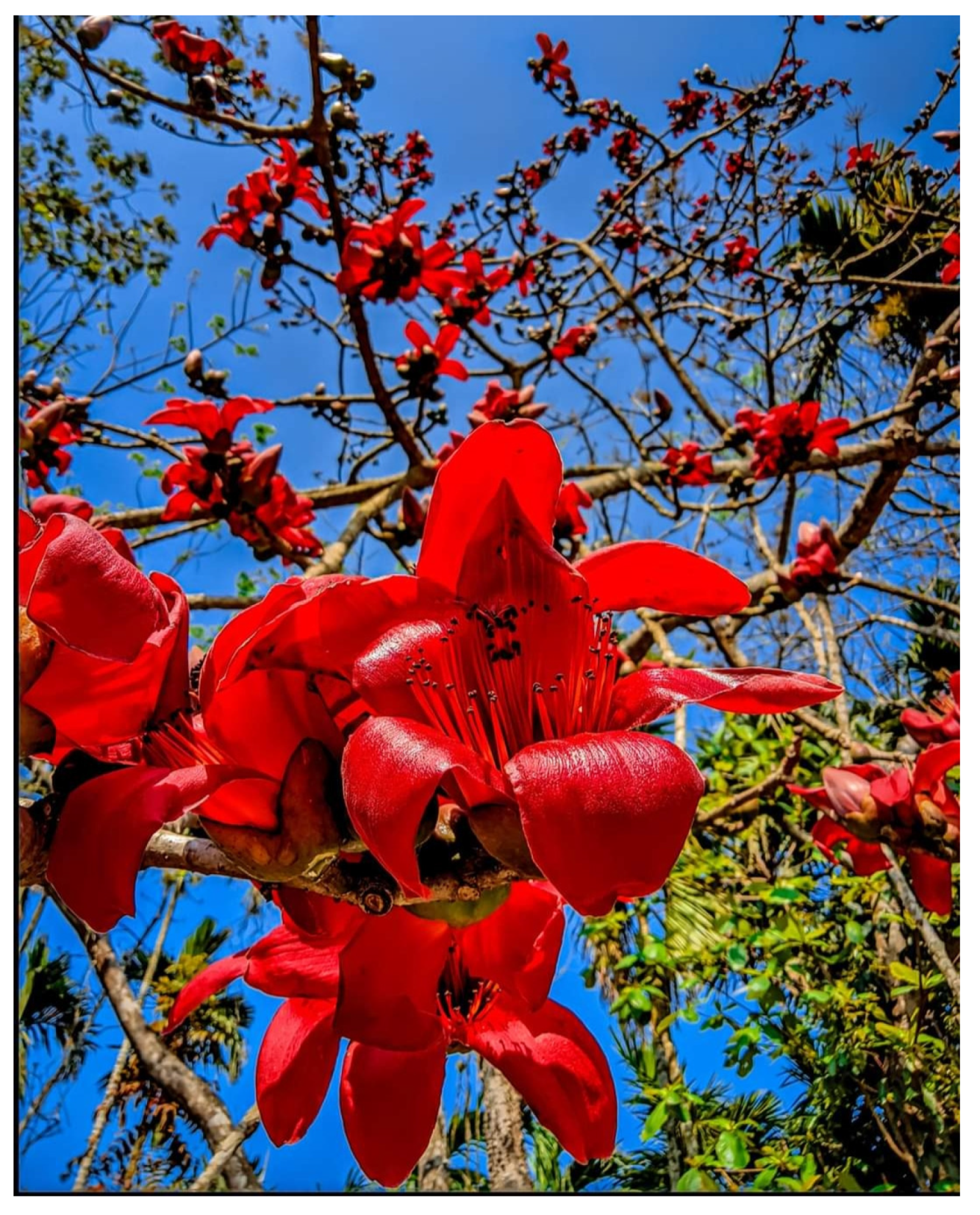 Diabetology 04 00019 g012