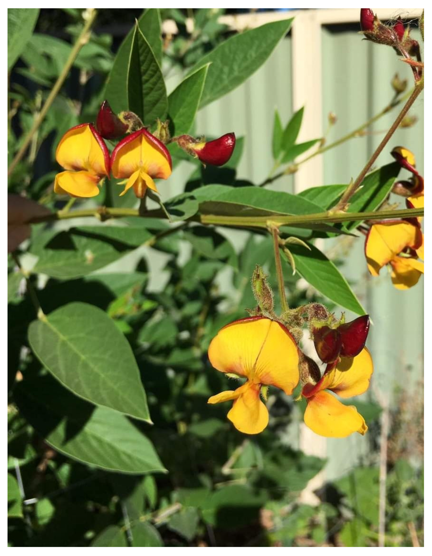 Diabetology 04 00019 g014