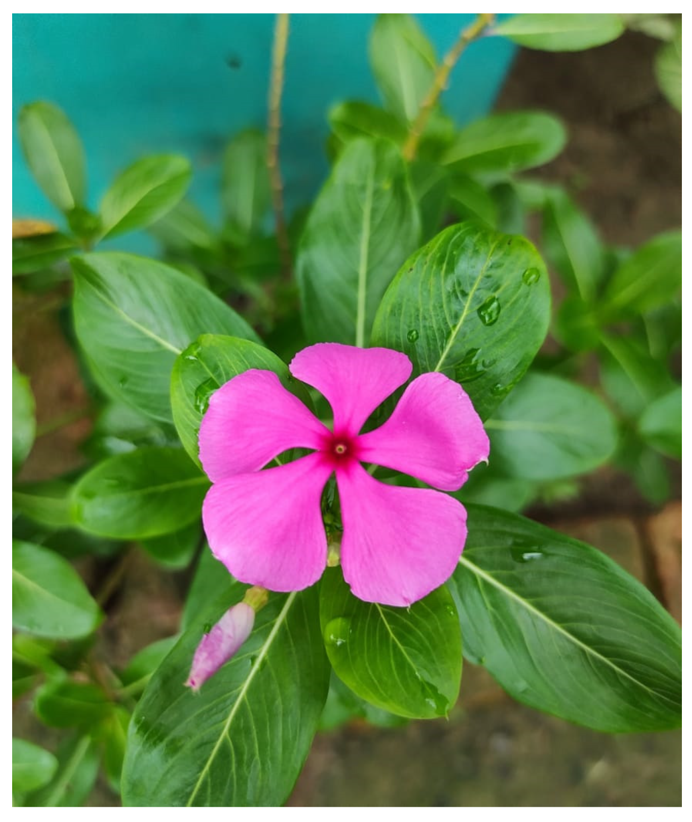 Diabetology 04 00019 g015