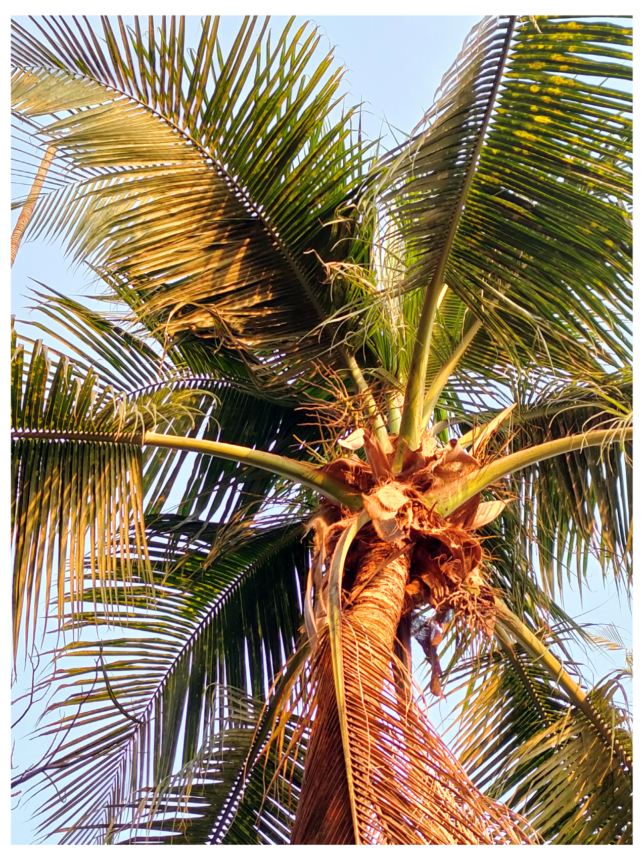 Diabetology 04 00019 g018