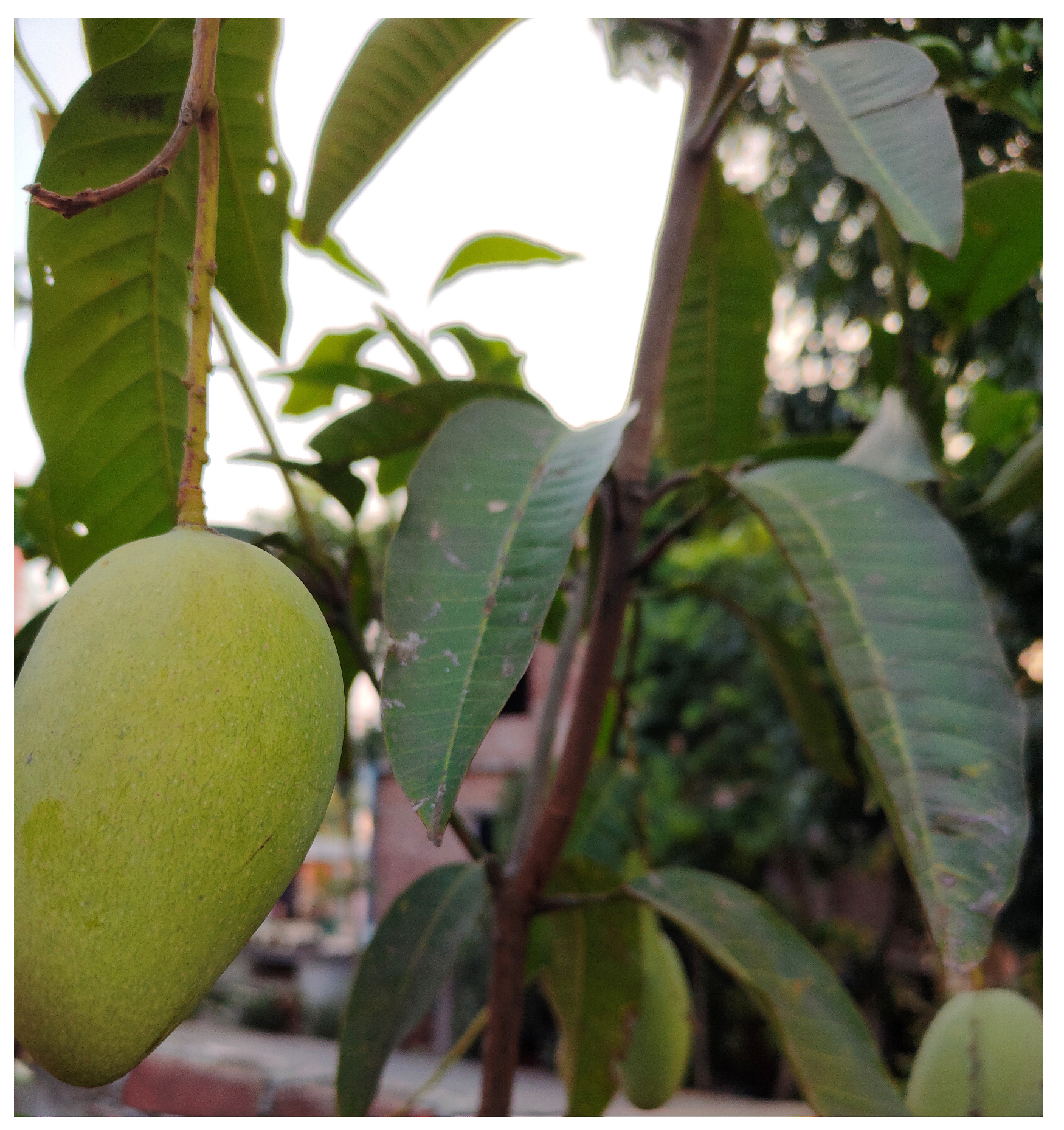 Diabetology 04 00019 g024